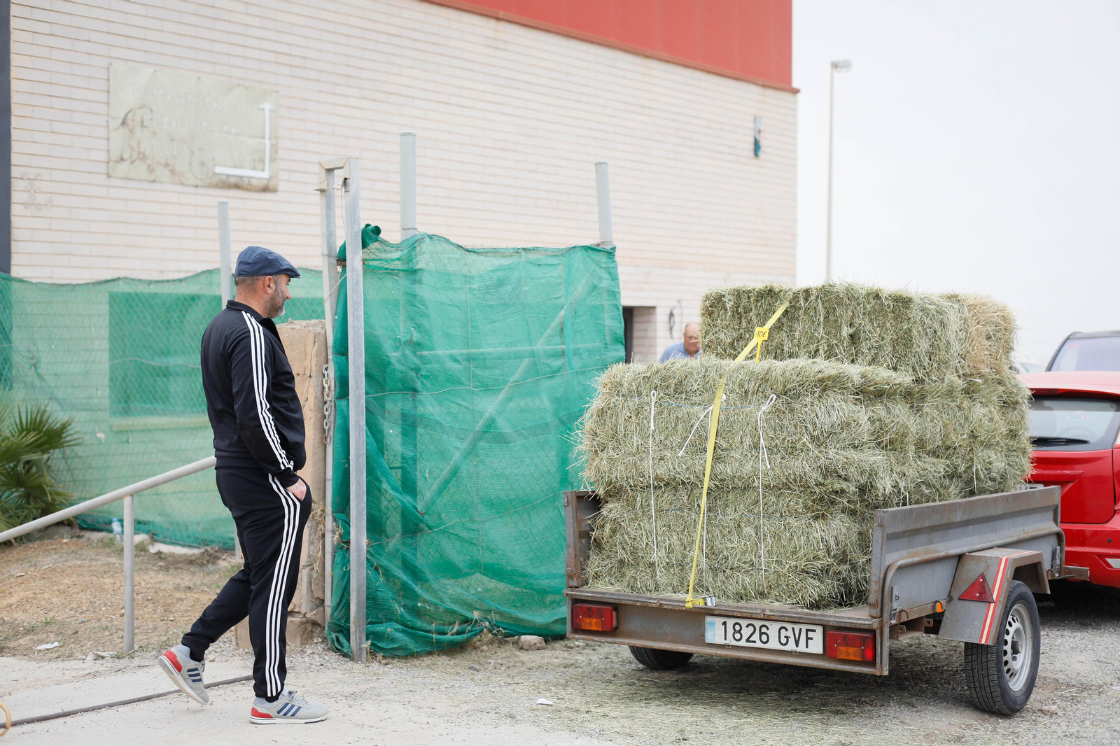 Galería de la Feria  de ganado en Tarambana