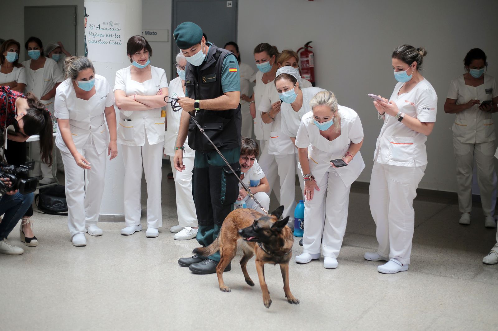 Imágenes de la exhibición de la Guardia Civil en el Hospital Juan Ramón Jiménez con motivo del 35 aniversario de la incorporación de la mujer