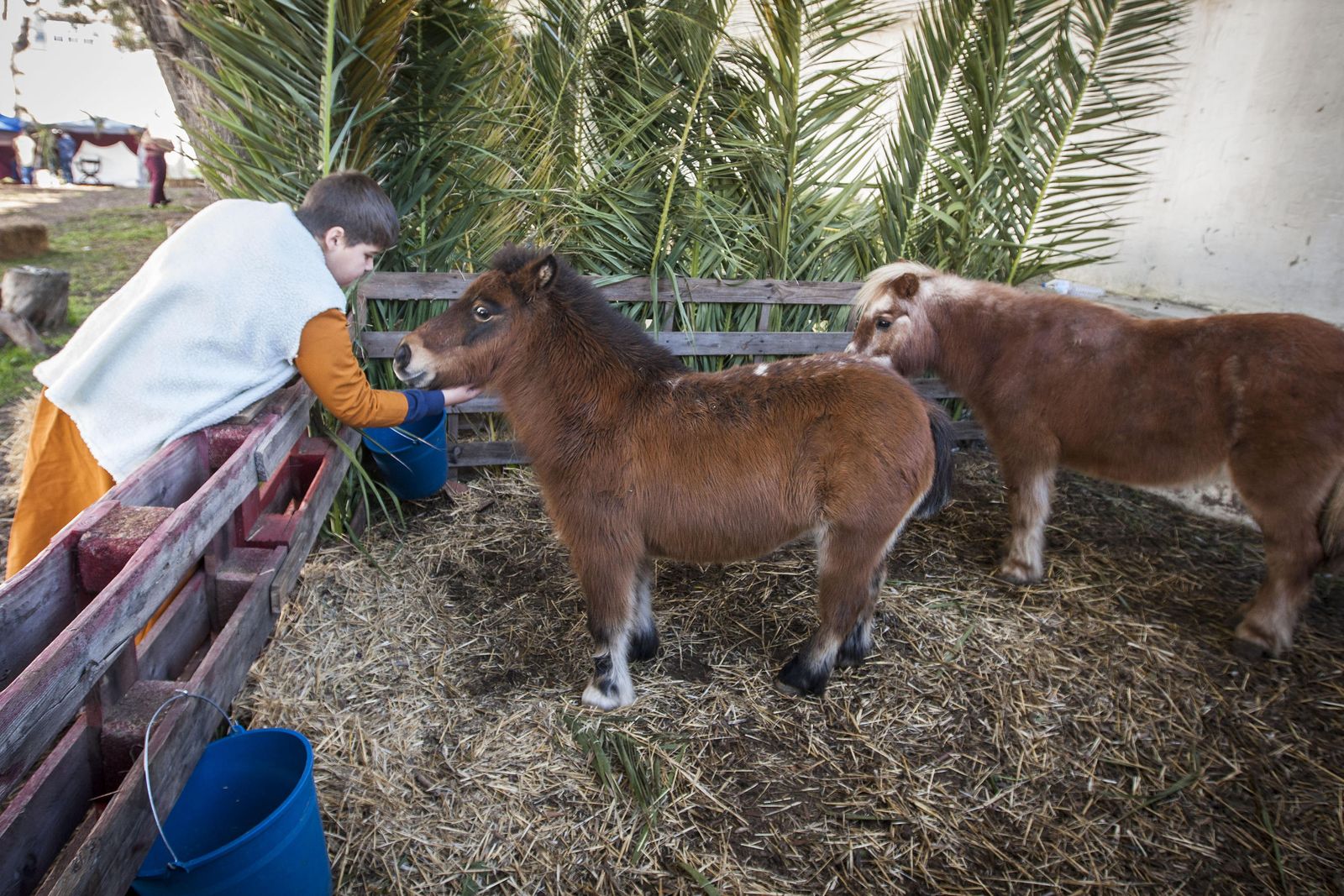 Belén viviente de Columna y Servitas, en las pasadas Navidades.