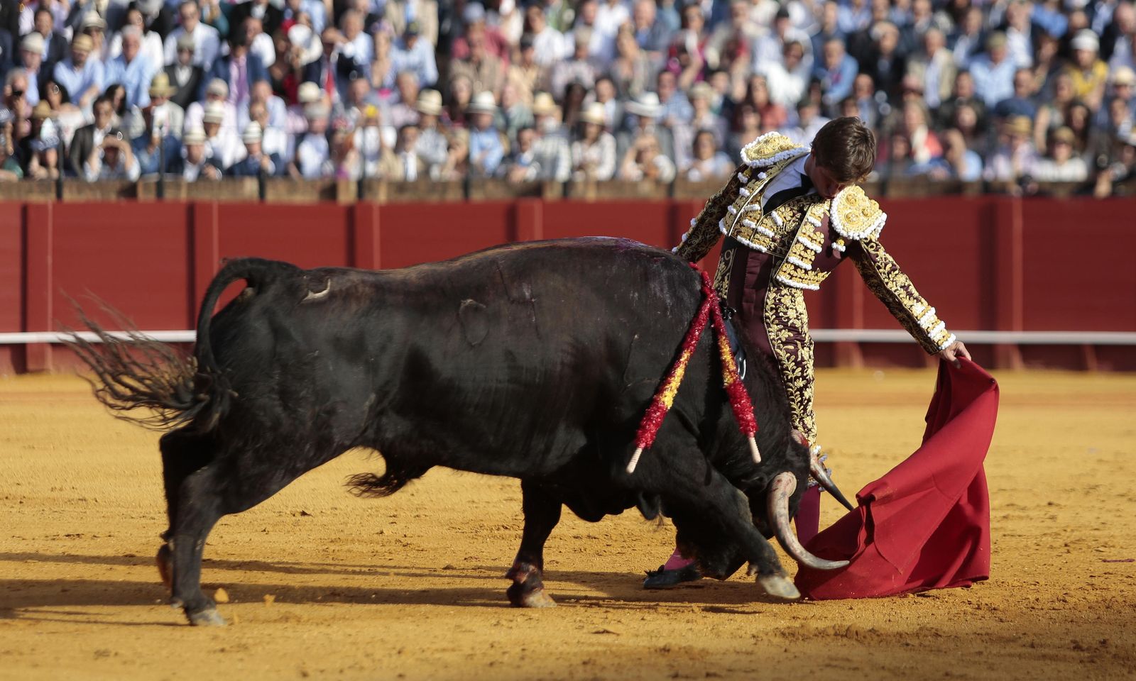 Las imágenes de la undécima de abono de la Maestranza