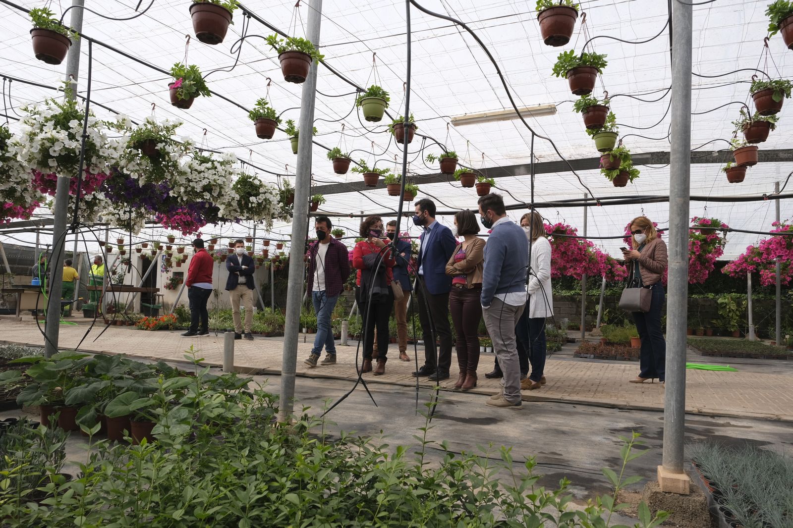 Fotogalería de la visita al vivero municipal de Almería.