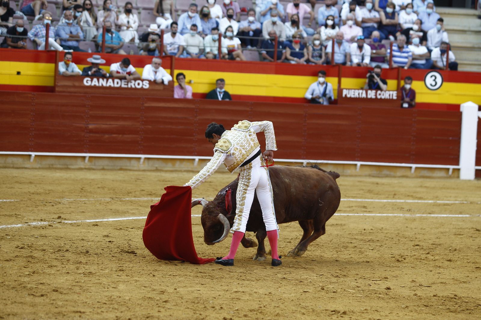 Fotogalería corrida de toros. Cayetano Rivera, Paco Ureña y Roca Rey. Roquetas de Mar.