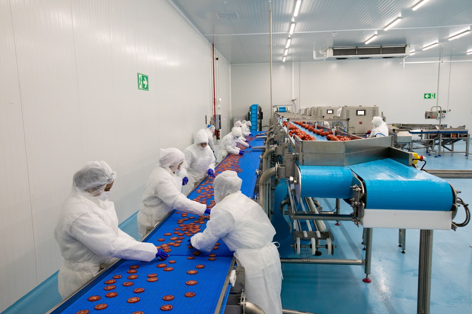 Trabajadores en una de las naves de La Unión.