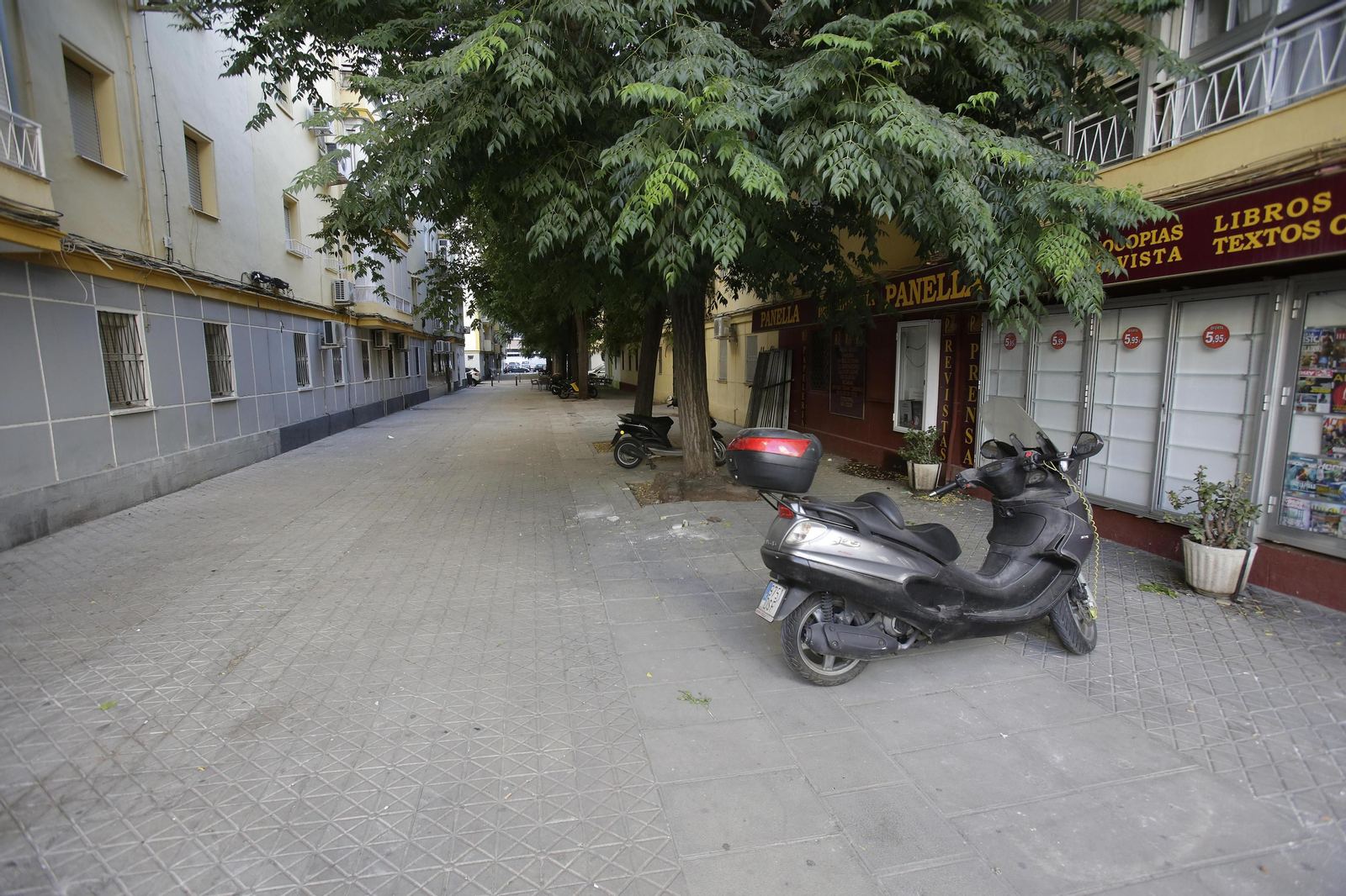 Urbanismo proyecta mejoras en las calles Rockero Silvio y Virgen de Todos los Santos de Sevilla