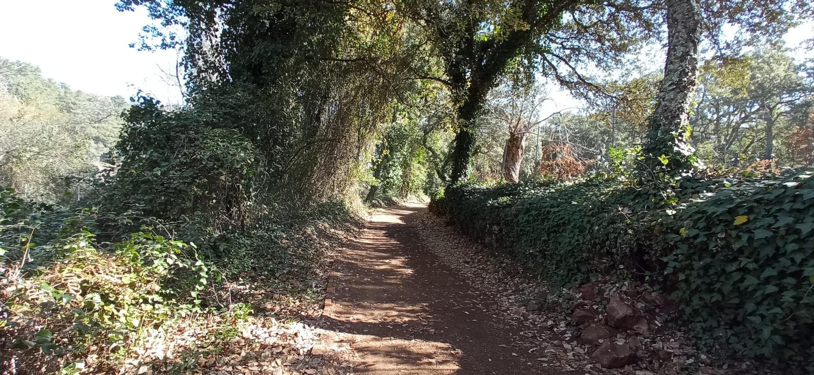 Las imágenes de la ruta de la cascada de Jollarancos y bosque de las letras