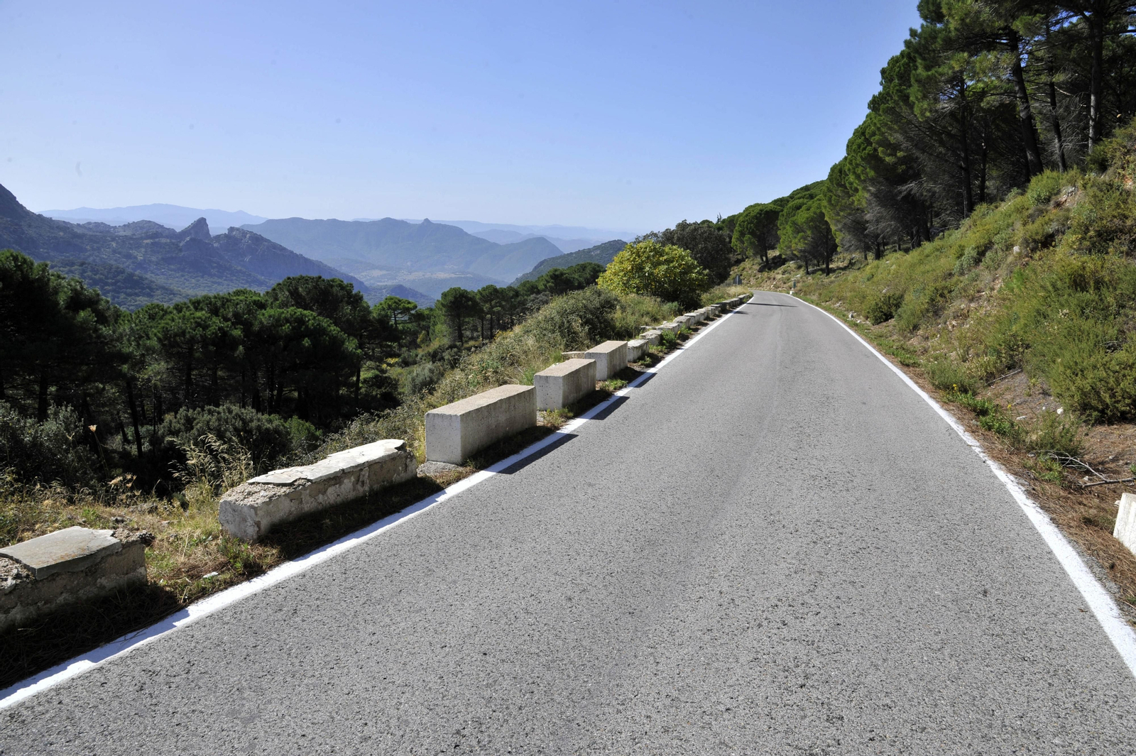 Una carretera en la Sierra de Cádiz.