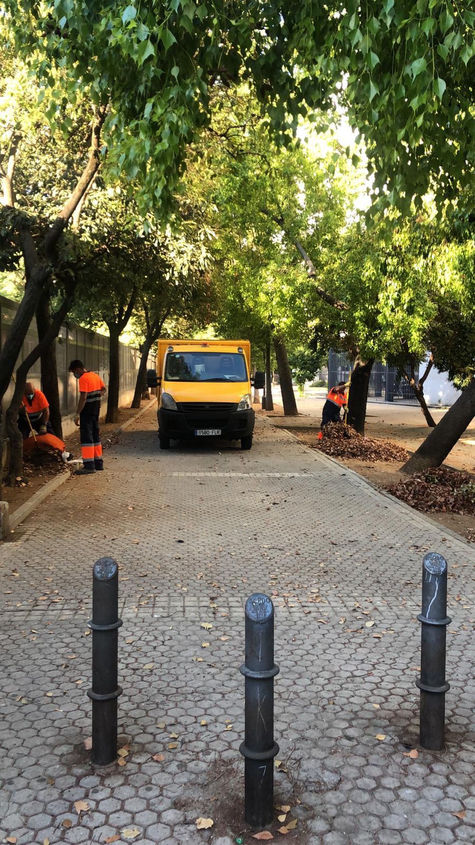 Lipasam en el entorno del colegio Joaquín Turina.