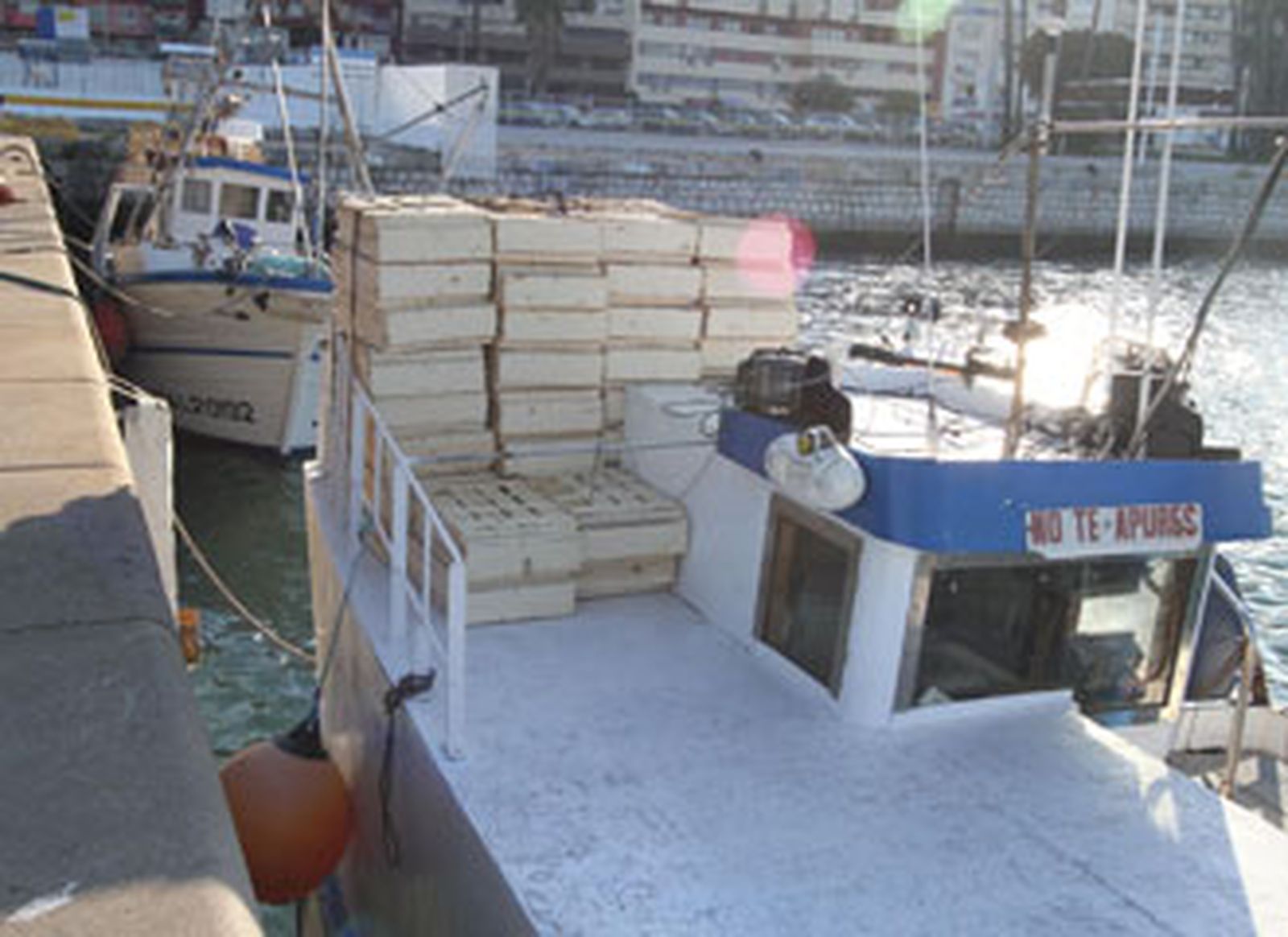 Los pescadores de Algeciras y La Línea se unen para negociar