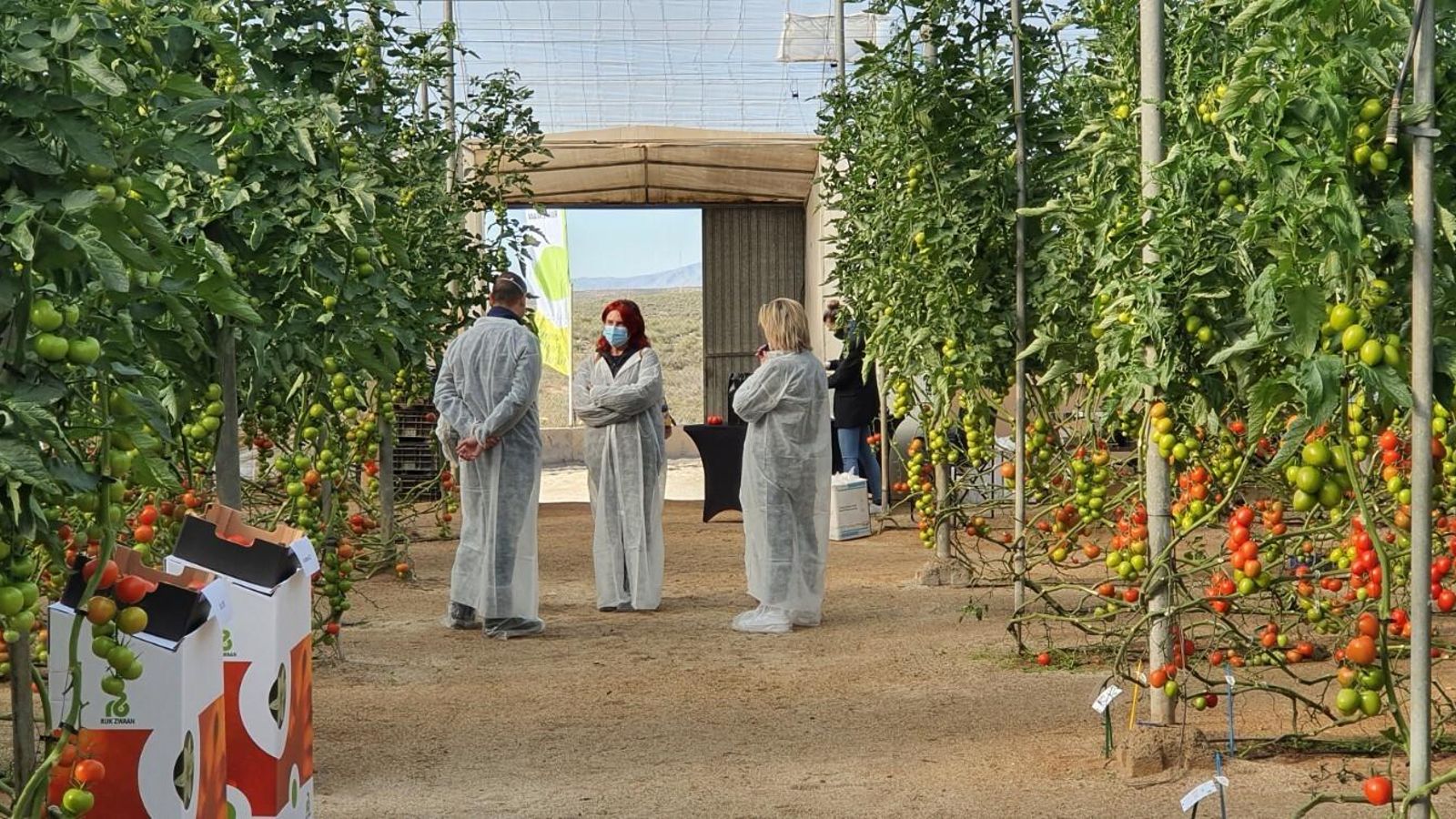 La demo levantó una gran expectación entre agricultores y representantes de las comercializadoras.