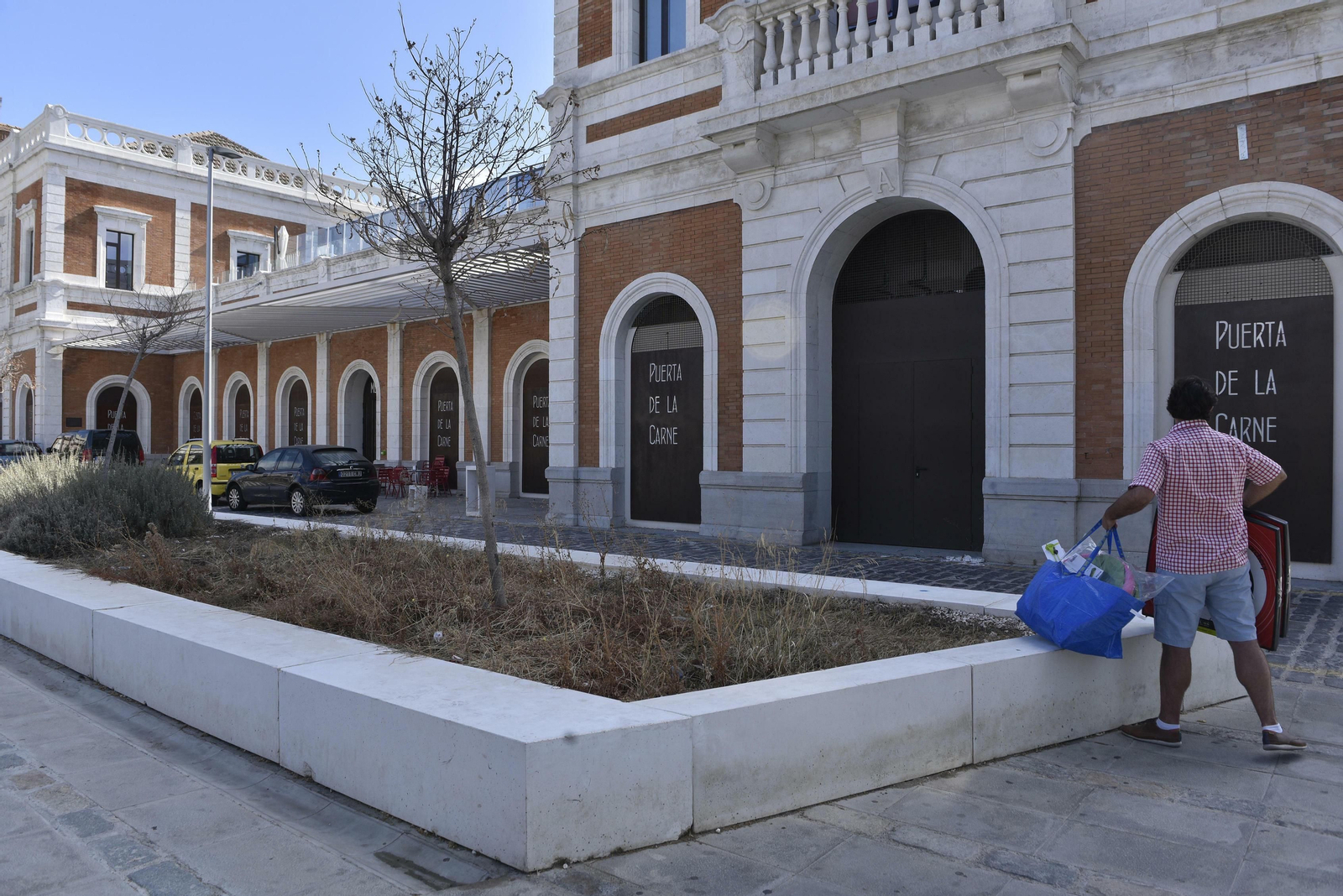 Estado actual de la vegetación y parterres de la plaza en una imagen tomada ayer.