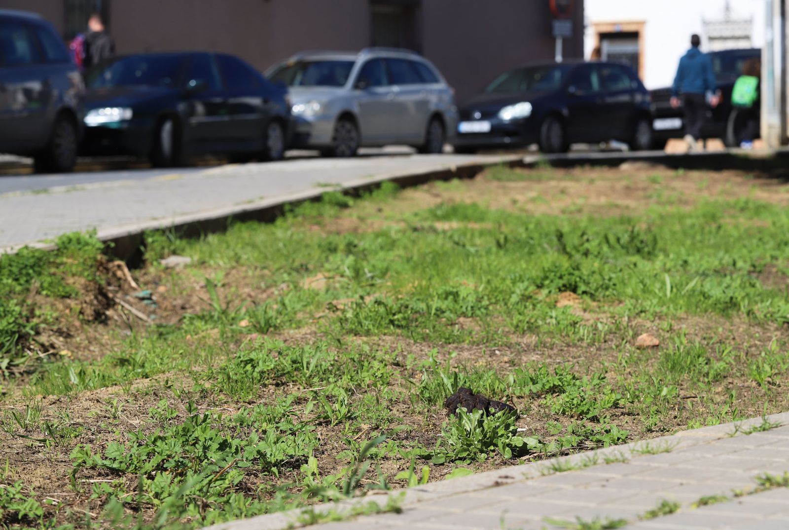 También en las zonas jardinadas hay obligación de recoger los excrementos de las mascotas.
