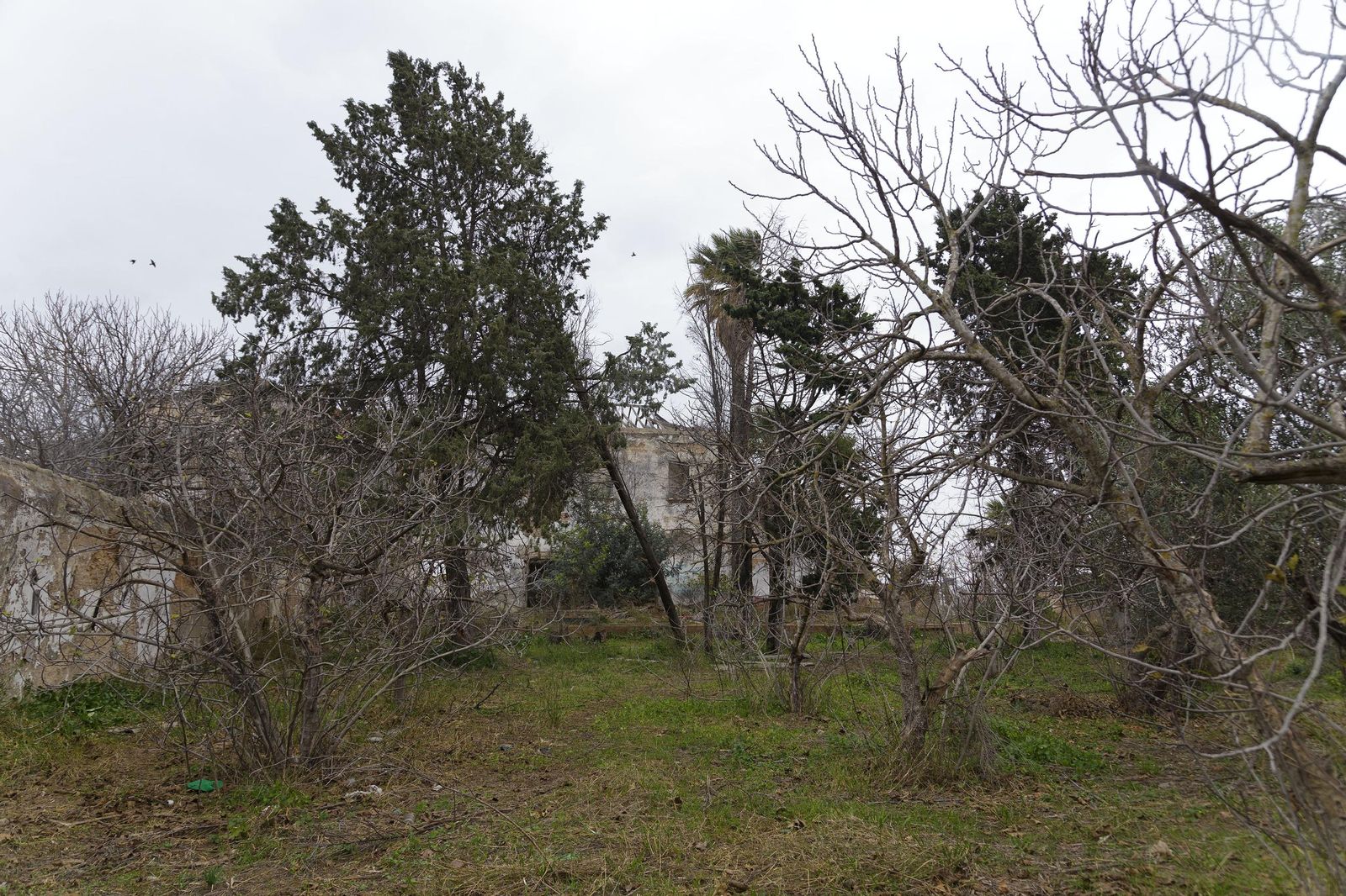 Las fotos del estado de la Hacienda El Rosario