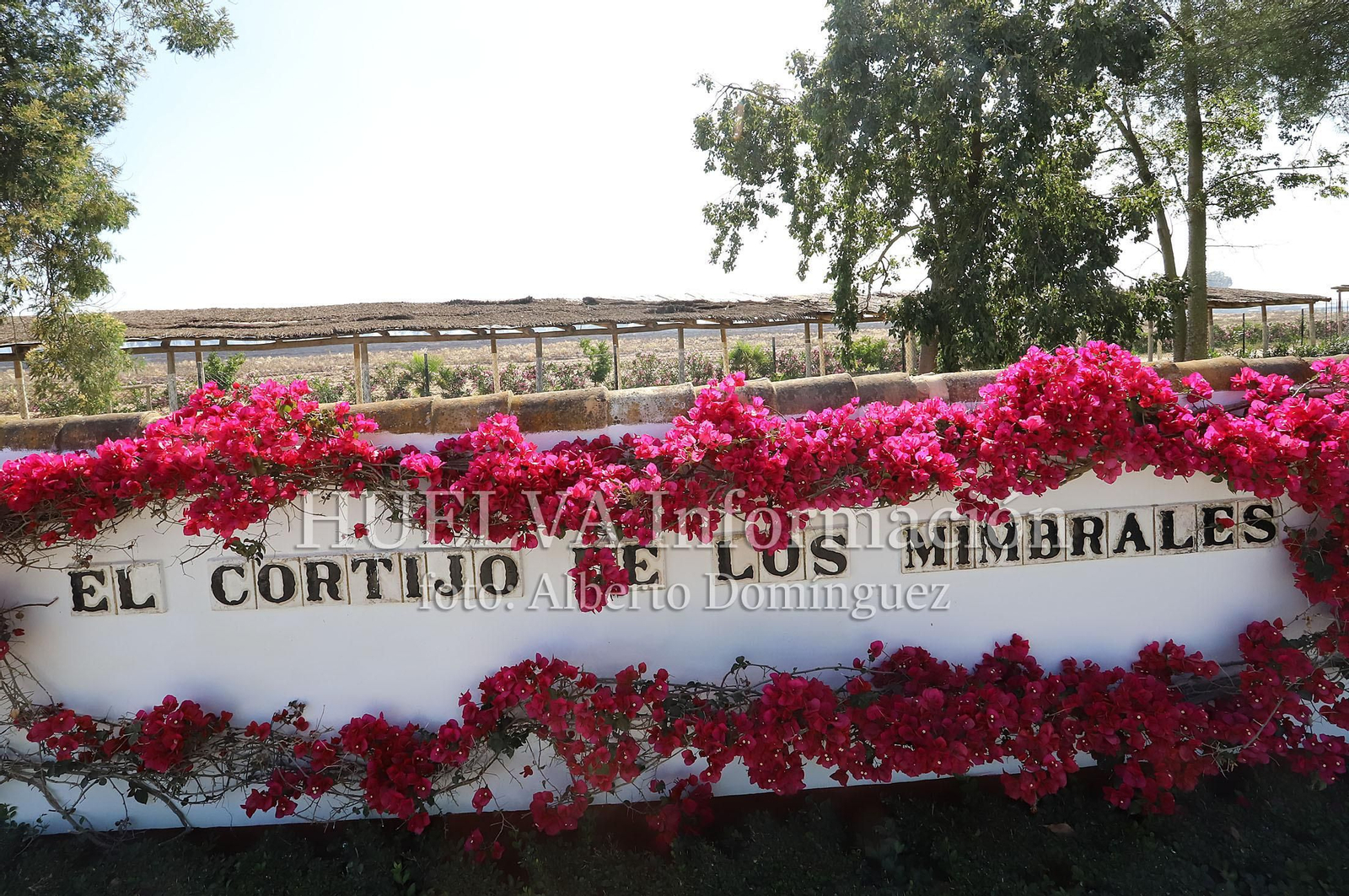 Imágenes del incendio en Doñana