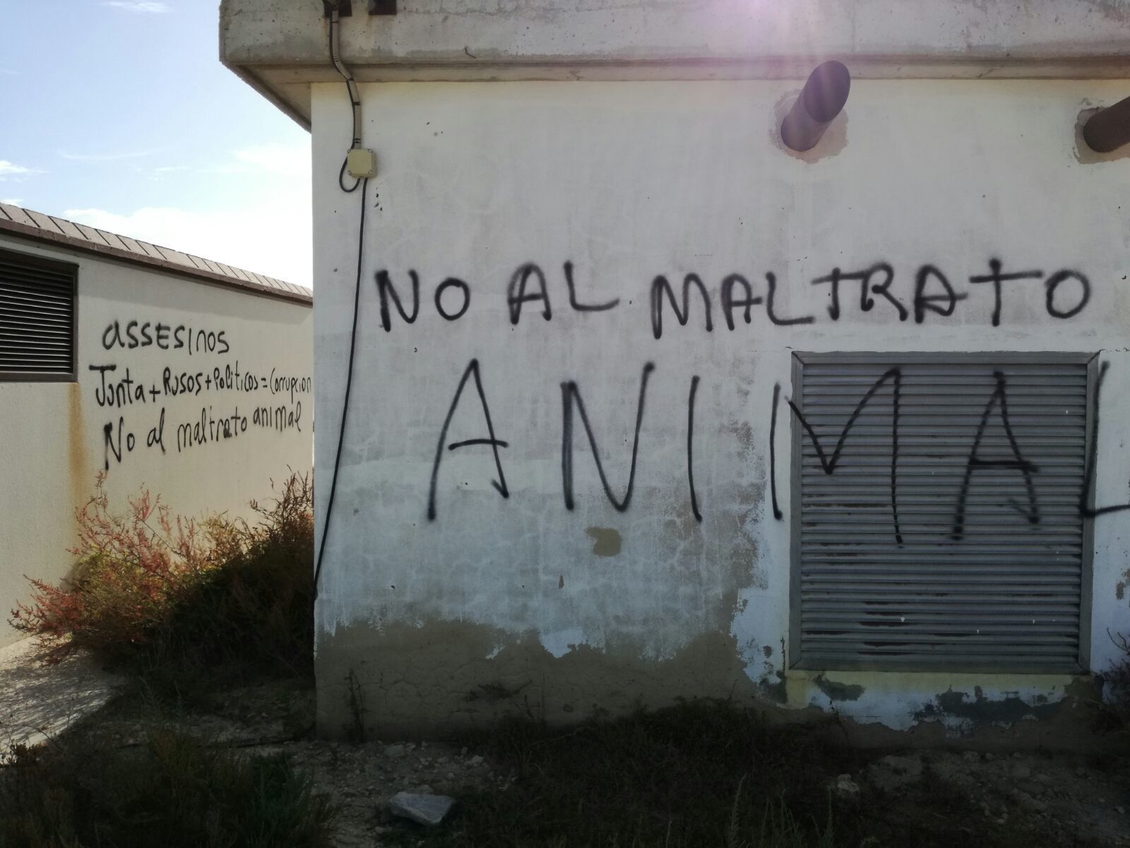 Pintadas en la piscifactoría La Leocadia.