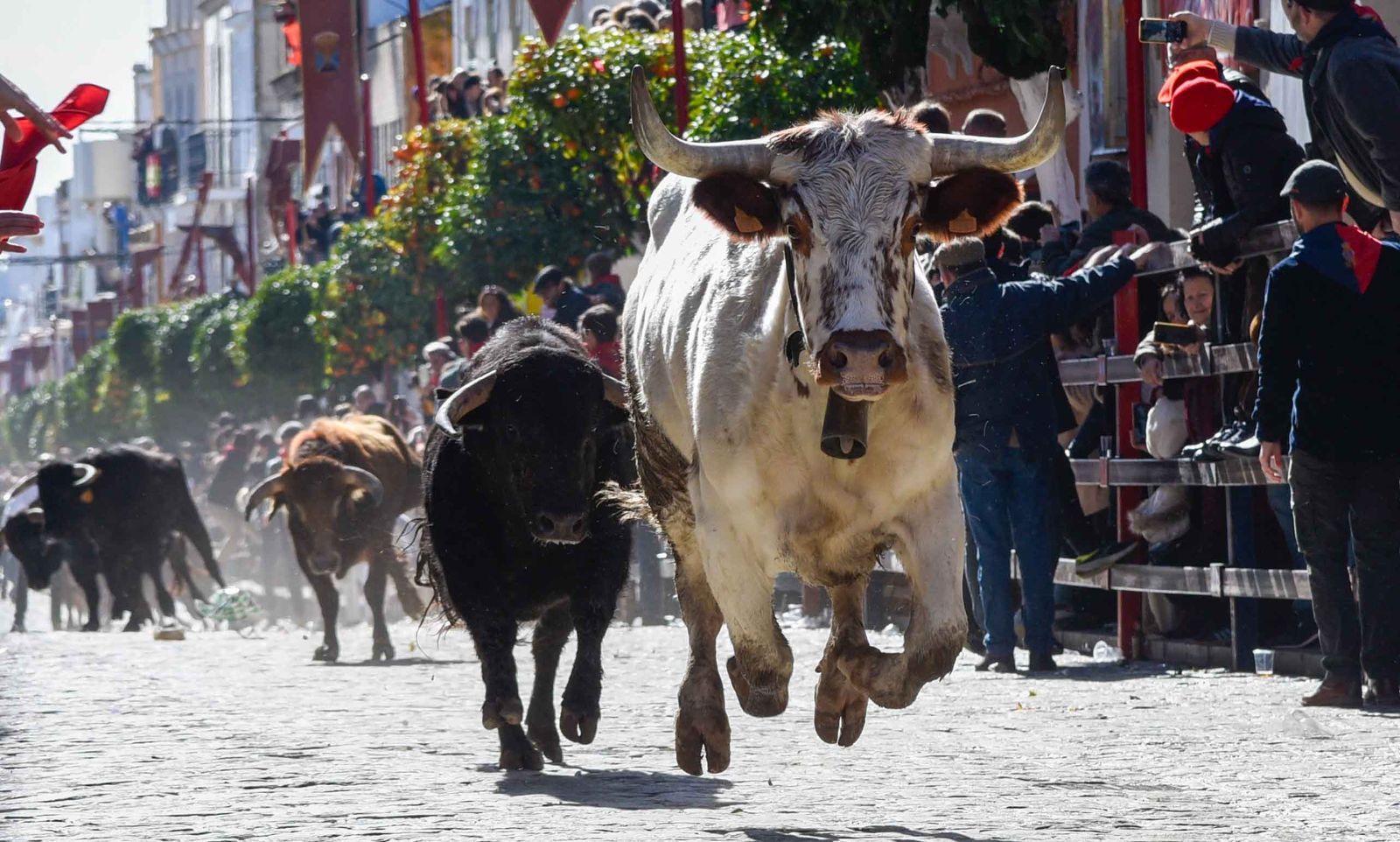 Las imágenes de los festejos de San Sebastián en La Puebla del Río 2026