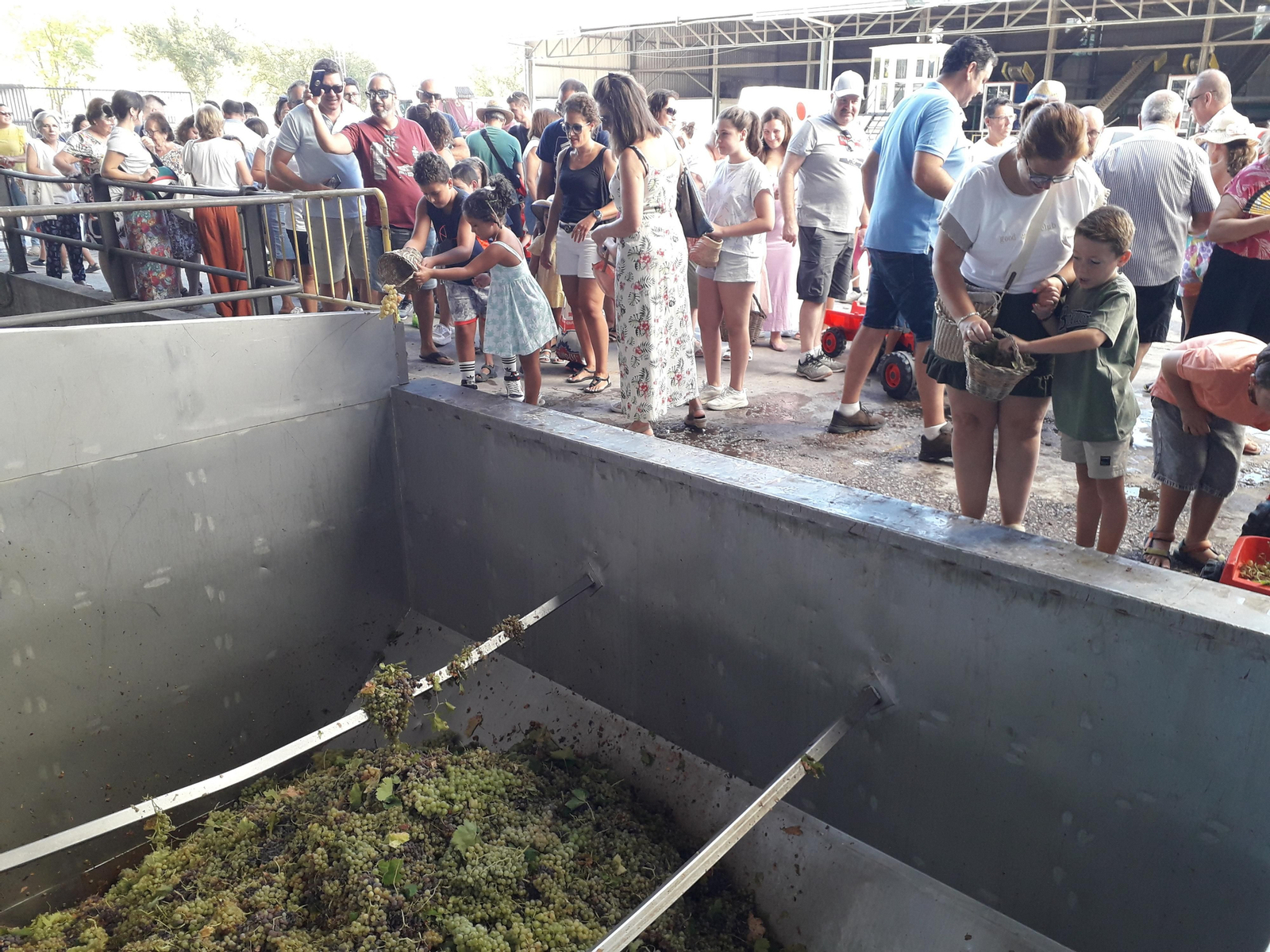 La primera vendimia infantil de Montilla, en imágenes