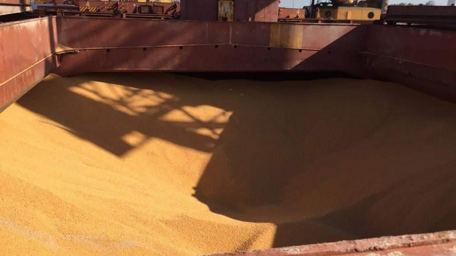 Descarga del buque 'Good Hope Max' cargado con maíz desde Brasil.