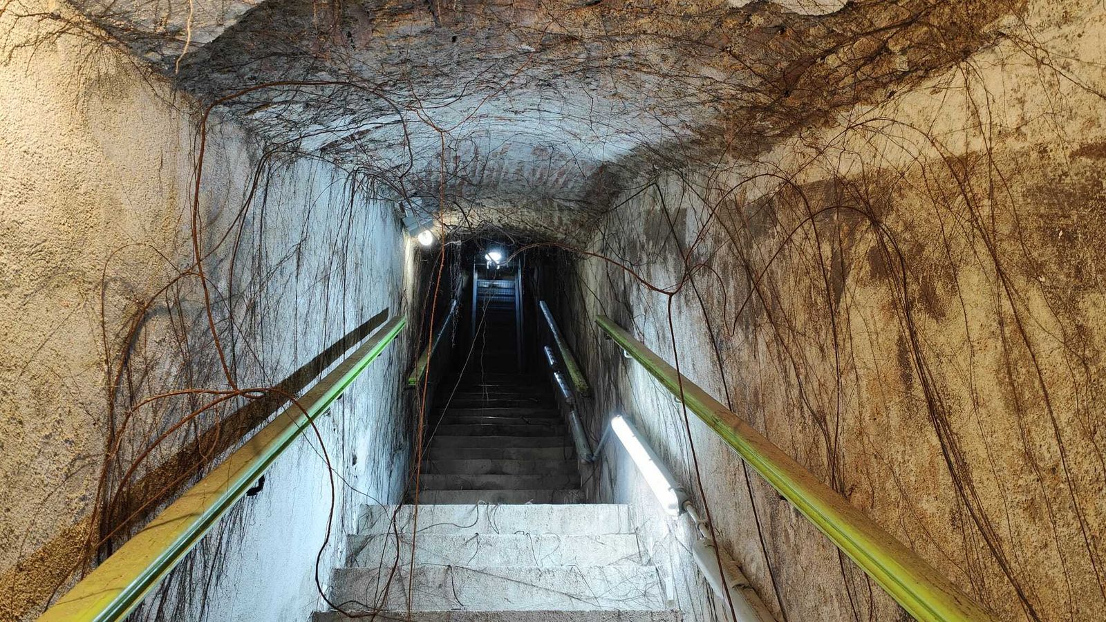 Las raíces de los árboles en el acceso a una de las salidas