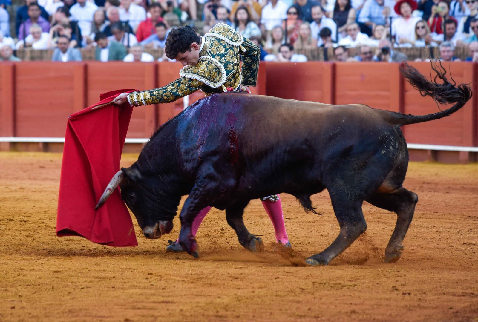 Final de la sexta edición del Circuito de Novilladas de Andalucía