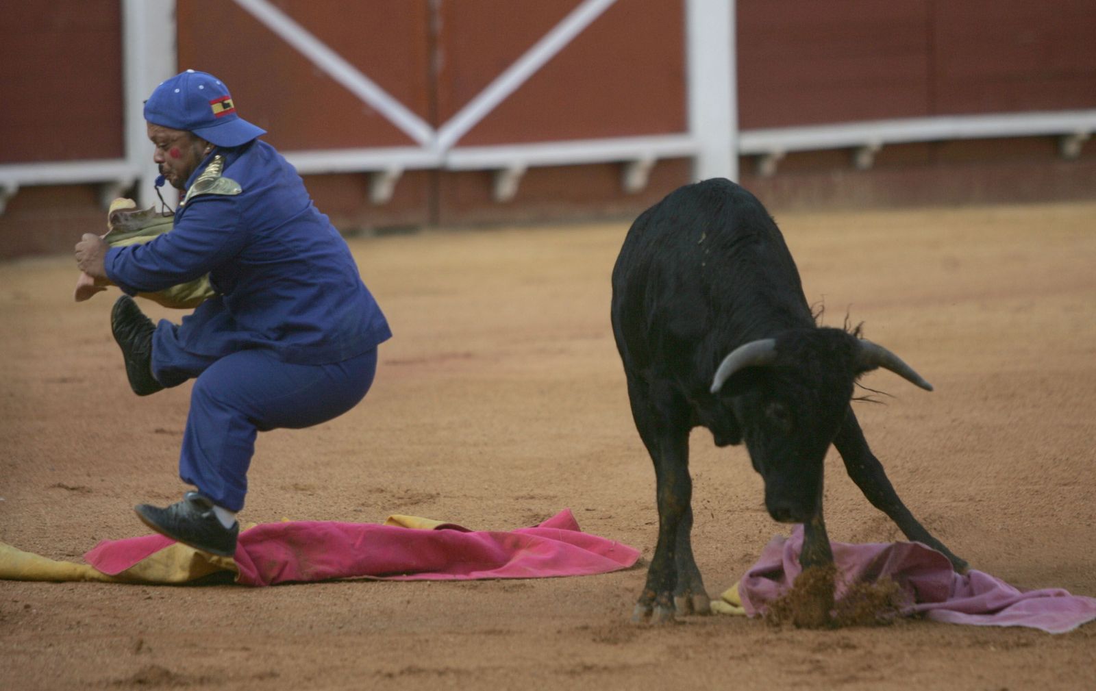 Un bombero torero junto a un novillo en el coso algecireño.