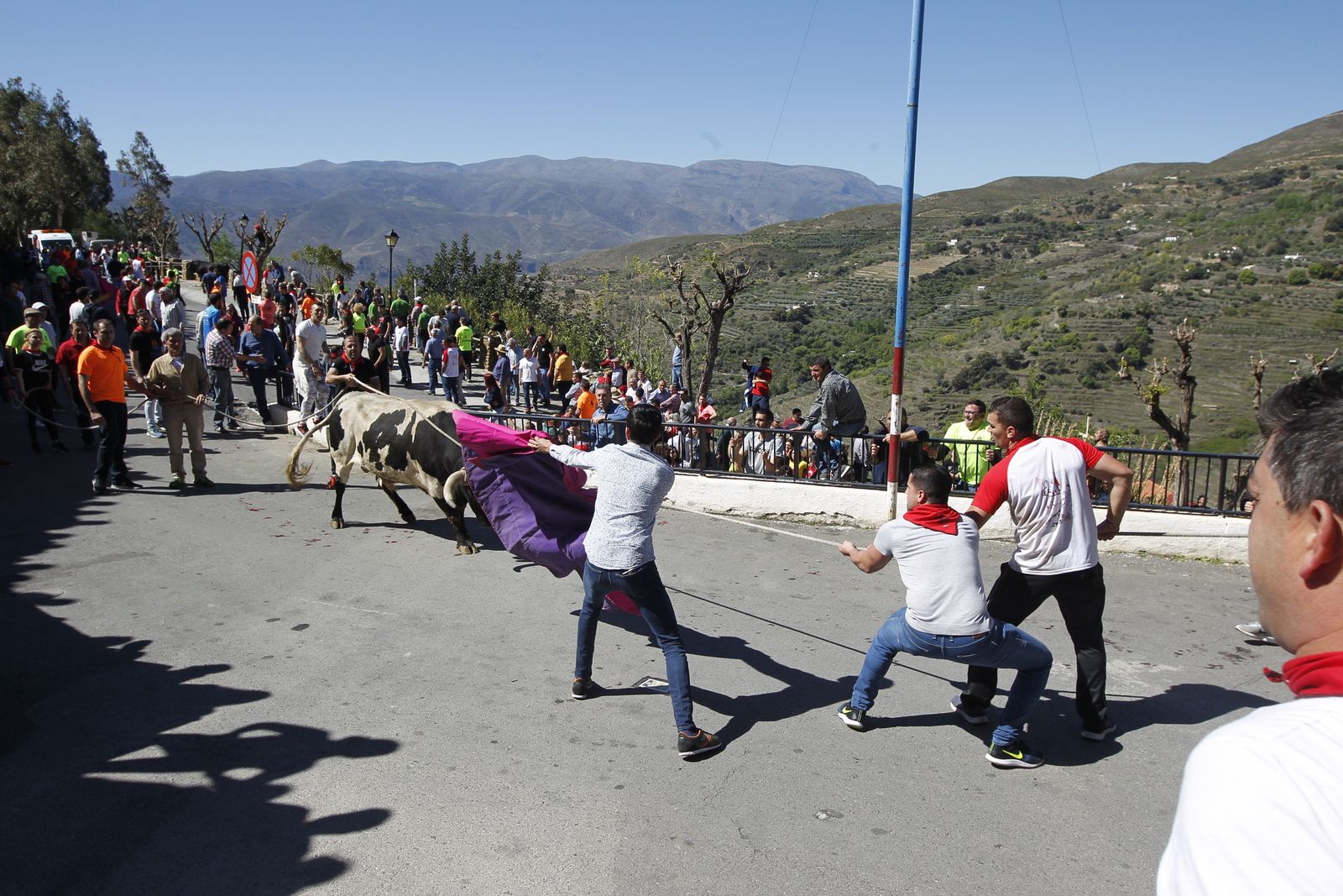 Fotogalería Tosos Ensogaos Ohanes. Fiestas San Marcos.