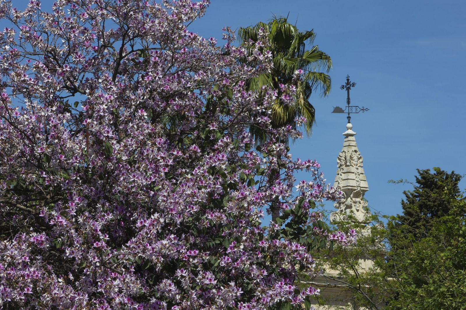 Primavera en Sevilla