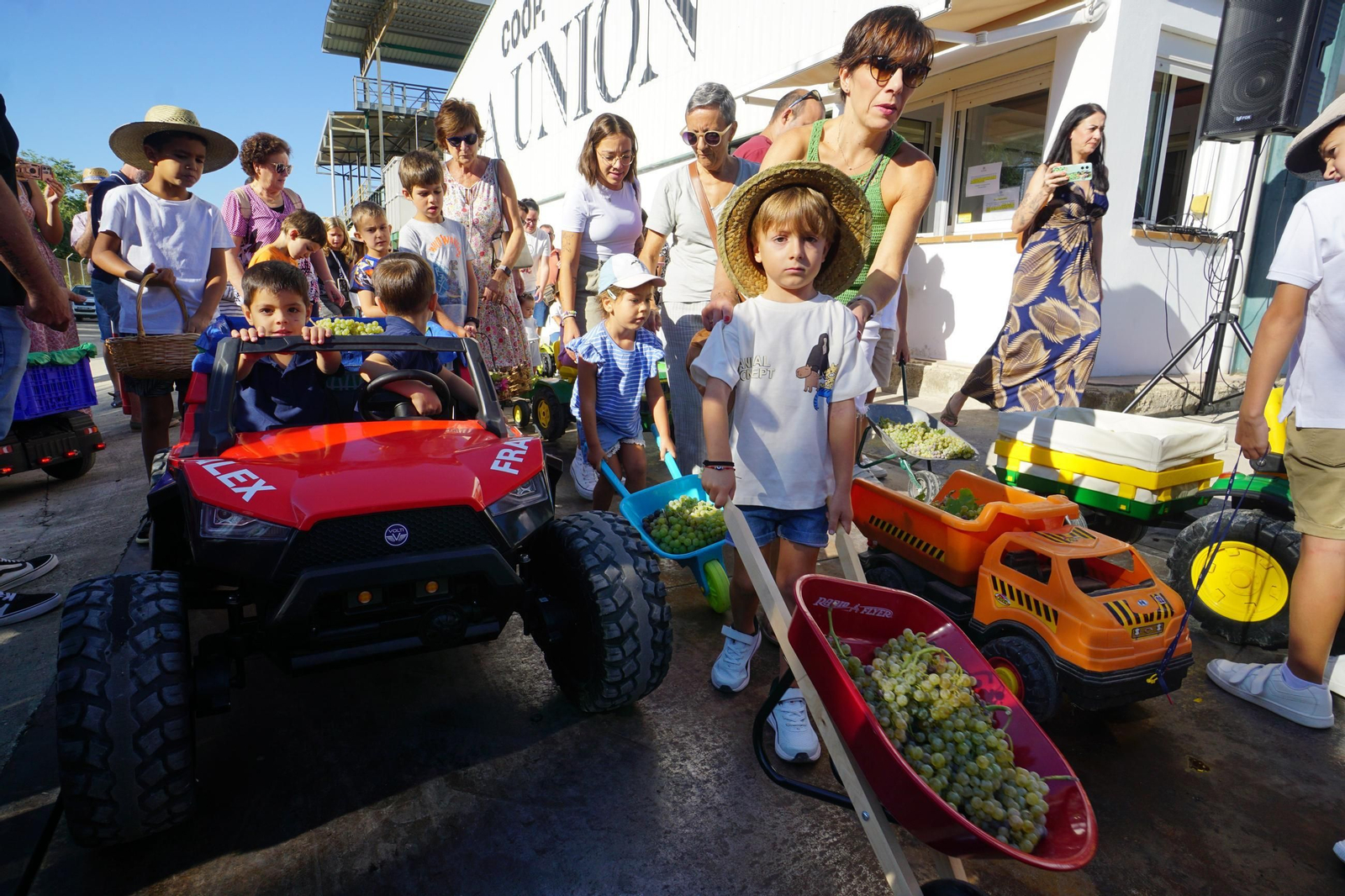 La vendimia infantil de Montilla