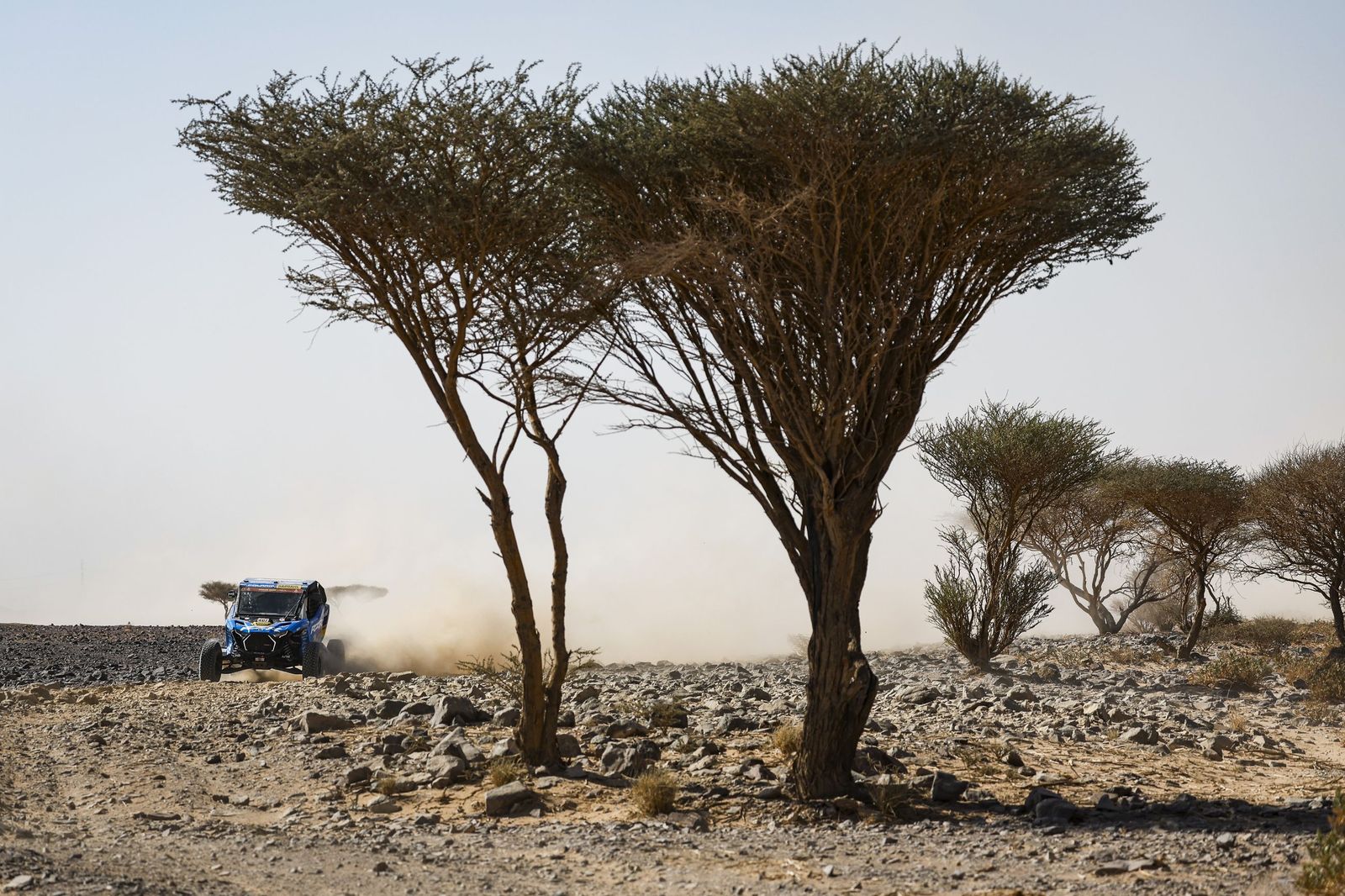 Las mejores fotos del Rally Dakar | Novena etapa