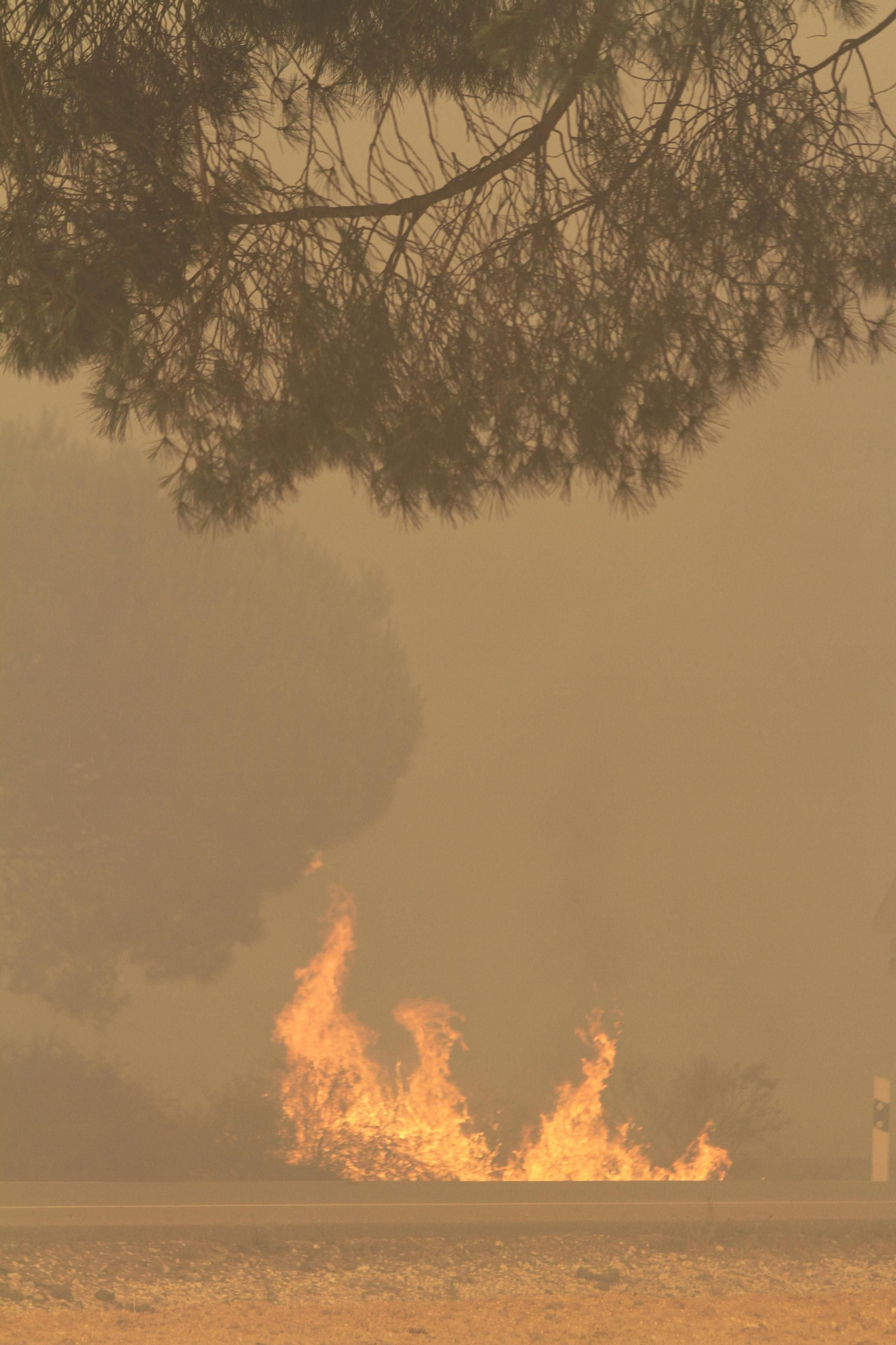 Las imágenes del incendio en Moguer y Mazagón