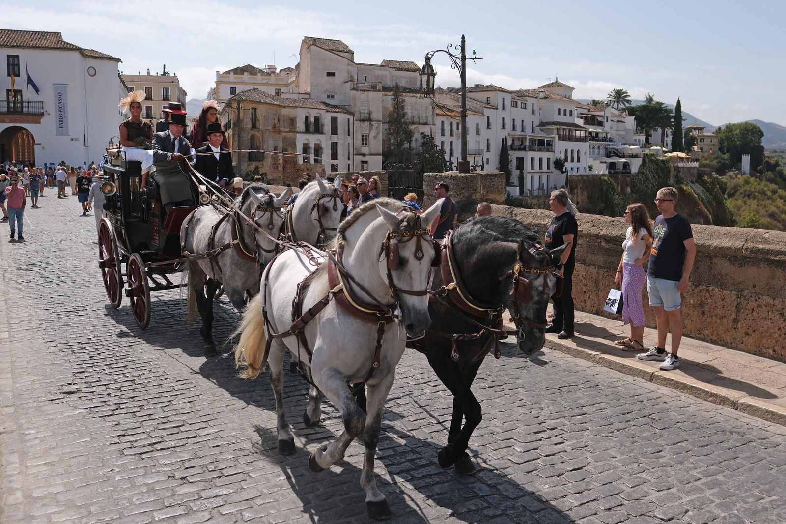 Concurso de Enganches de Ronda, en imágenes
