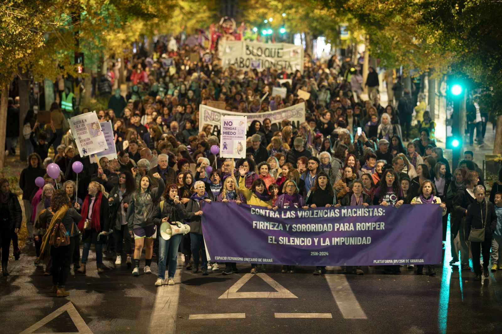 Todas las imágenes de la movilización de Granada contra la violencia machista este 25N
