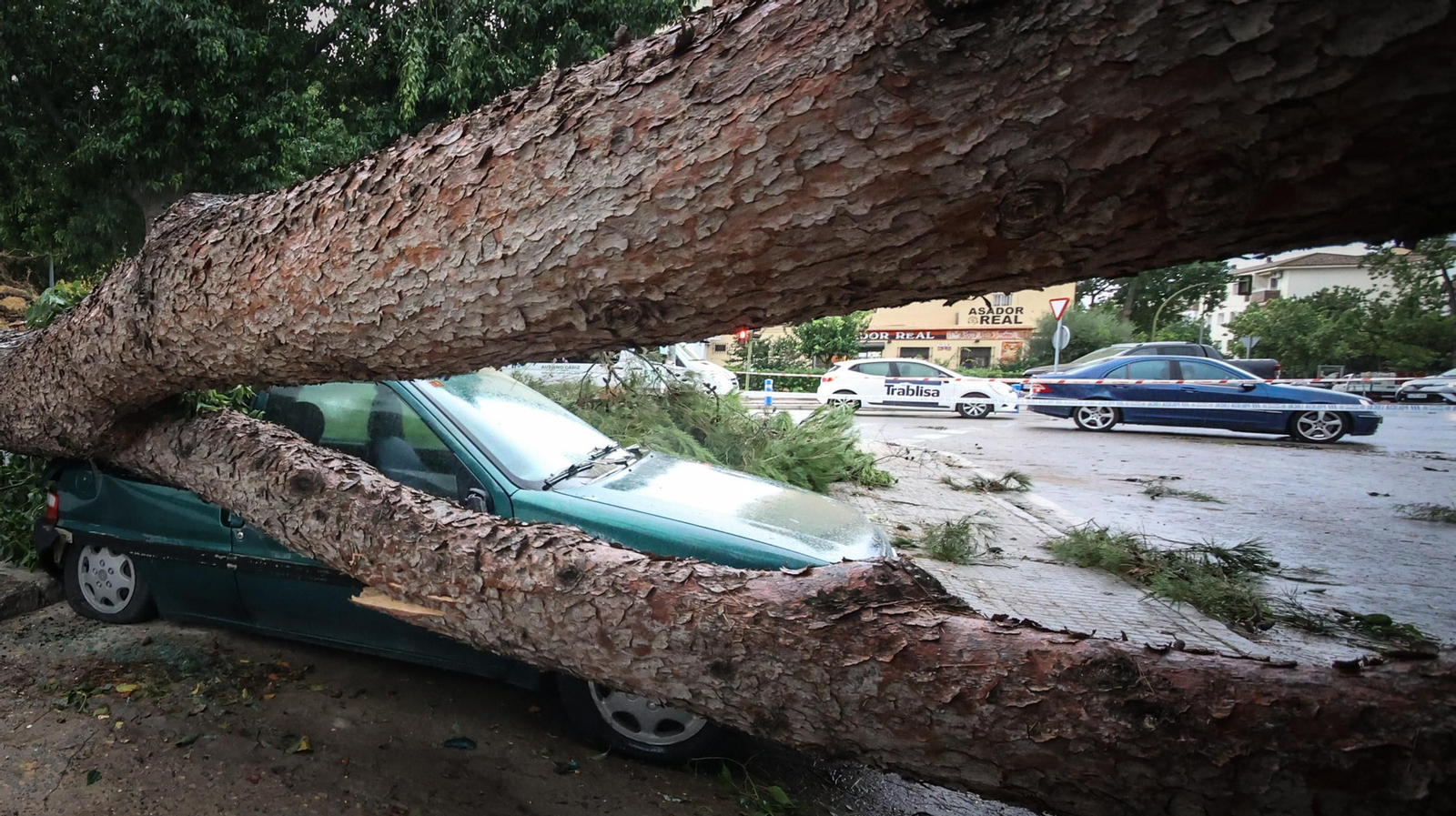 Así está Jerez tras el paso de 'Bernard'