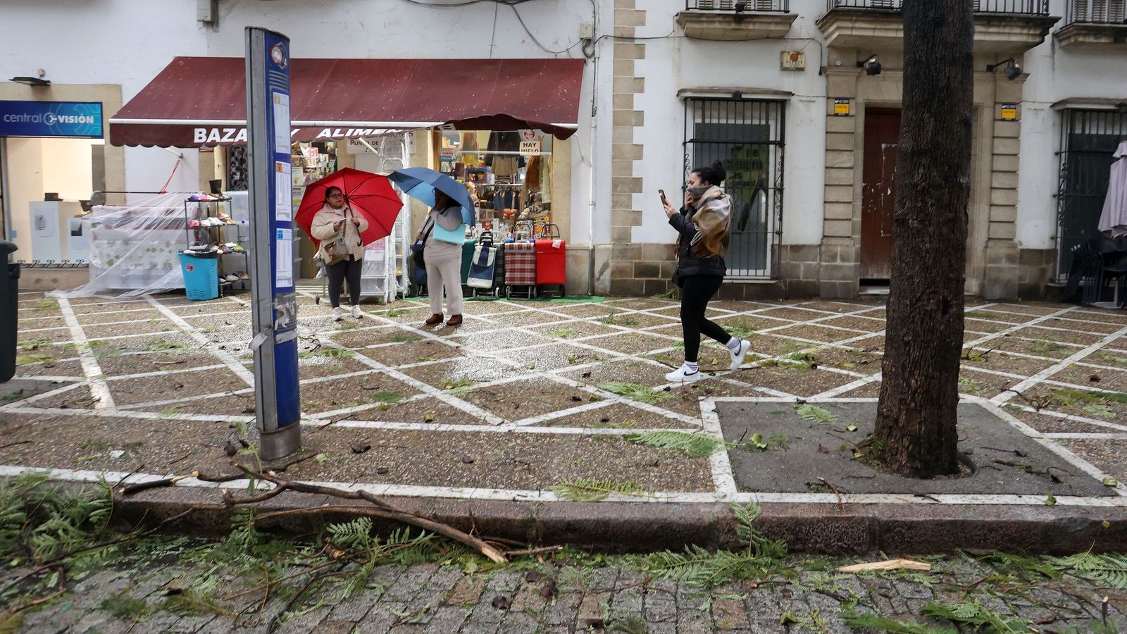 Imágenes del paso de la borrasca Kristin por el centro de Jerez