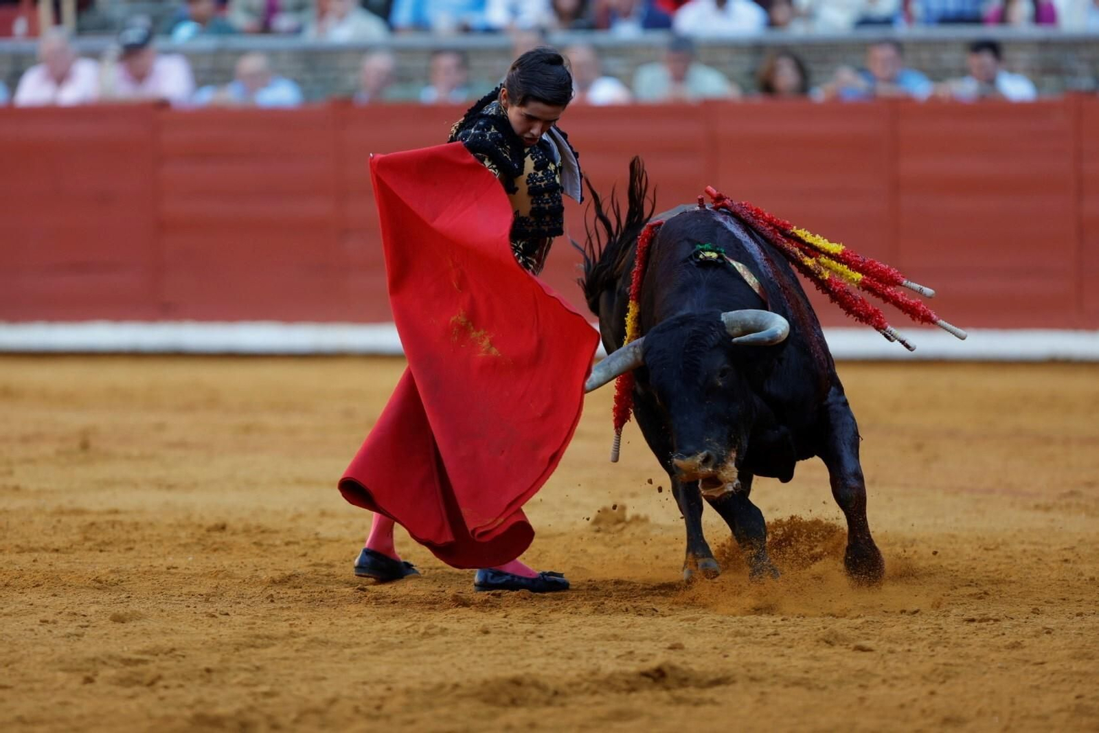 Las imágenes de la corrida de Ventura, Morante y Román en la Feria Taurina de Córdoba