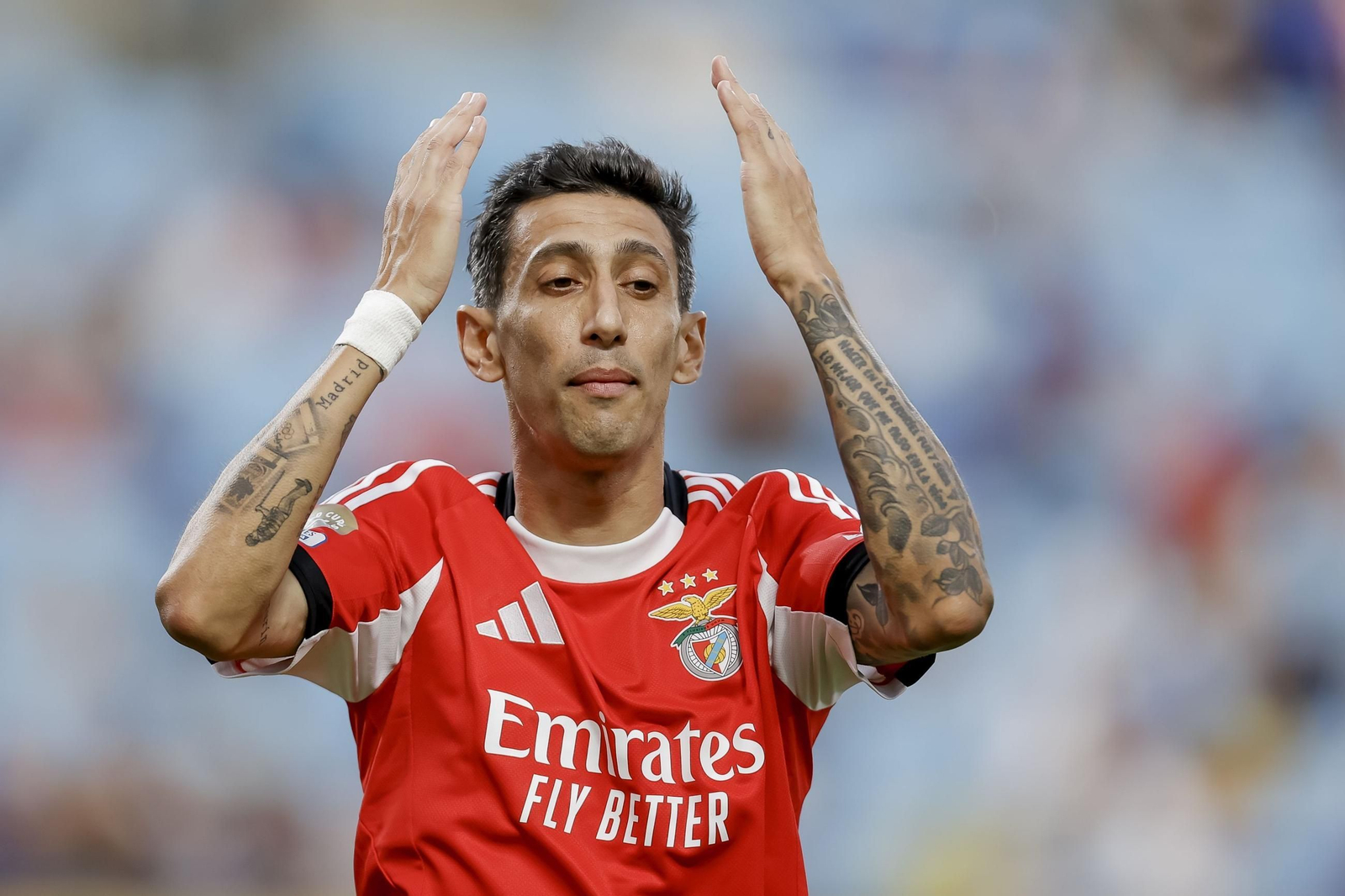 Benfica-Chelsea (22).jpg