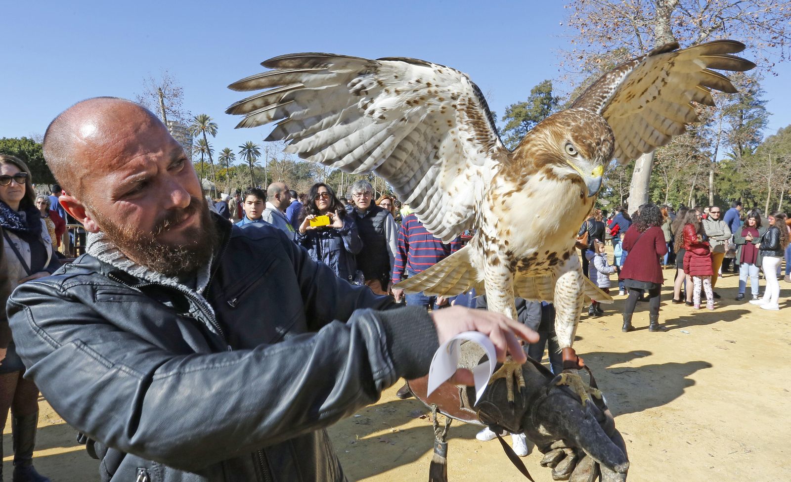 Las imágenes de la fiesta de San Antón