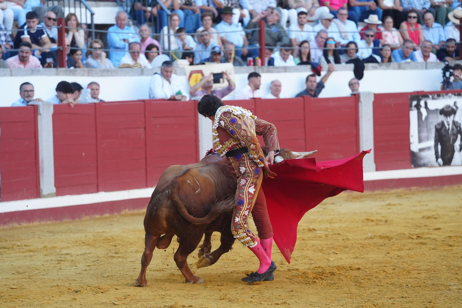 El triunfo de Rocío Romero, Manzanares y Roca Rey en la plaza de toros Pozoblanco, en imágenes