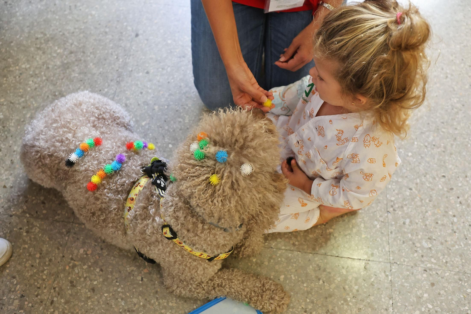 Las mejores imágenes de 'Tano', el perro que convive con los niños del hospital Juan Ramón Jiménez