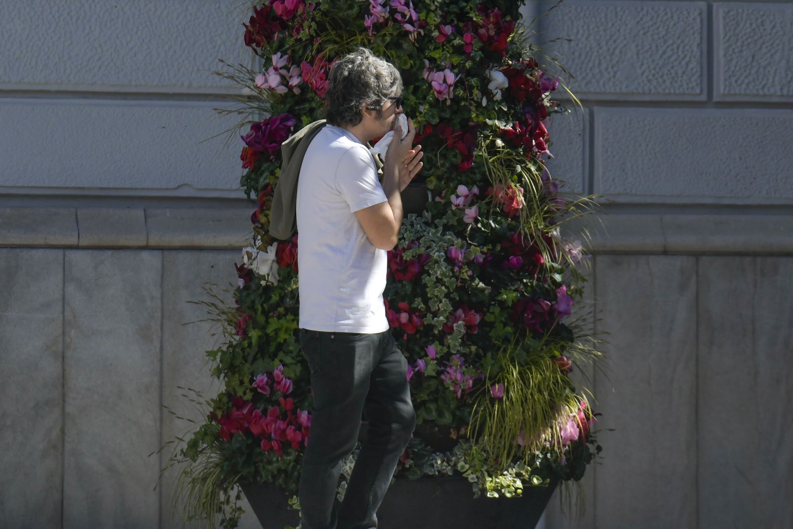 La Universidad de Granada detecta unos niveles de polen "inusualmente altos" para esta época del año