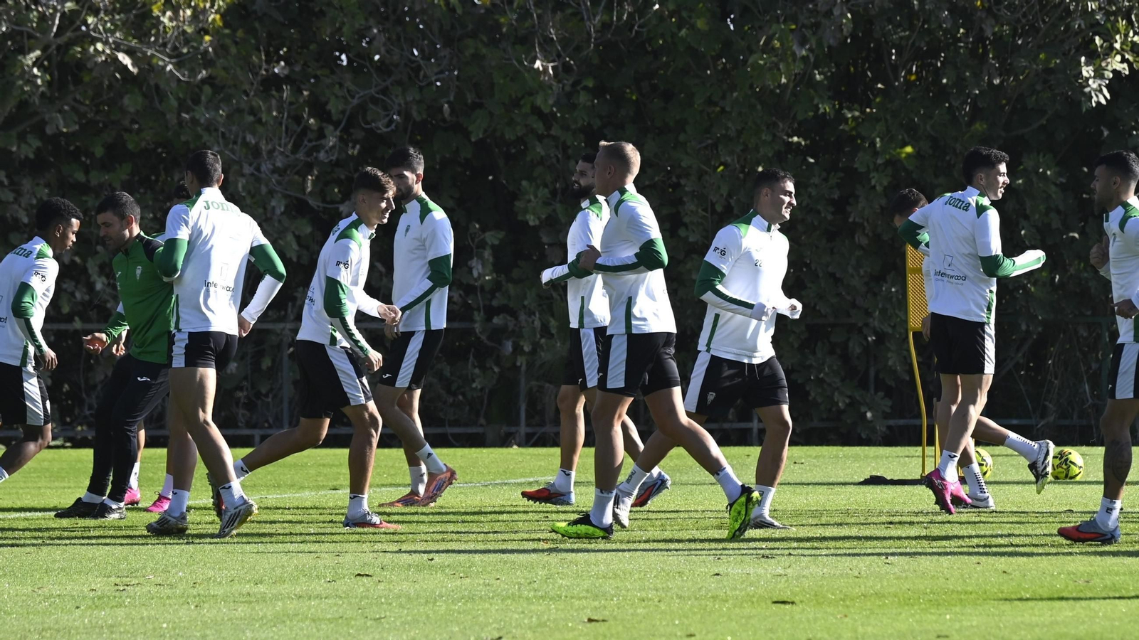 Los jugadores del Córdoba CF calientan antes de entrenarse en la Ciudad Deportiva.