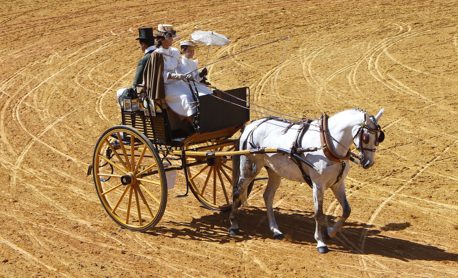 Exhibición de Enganches