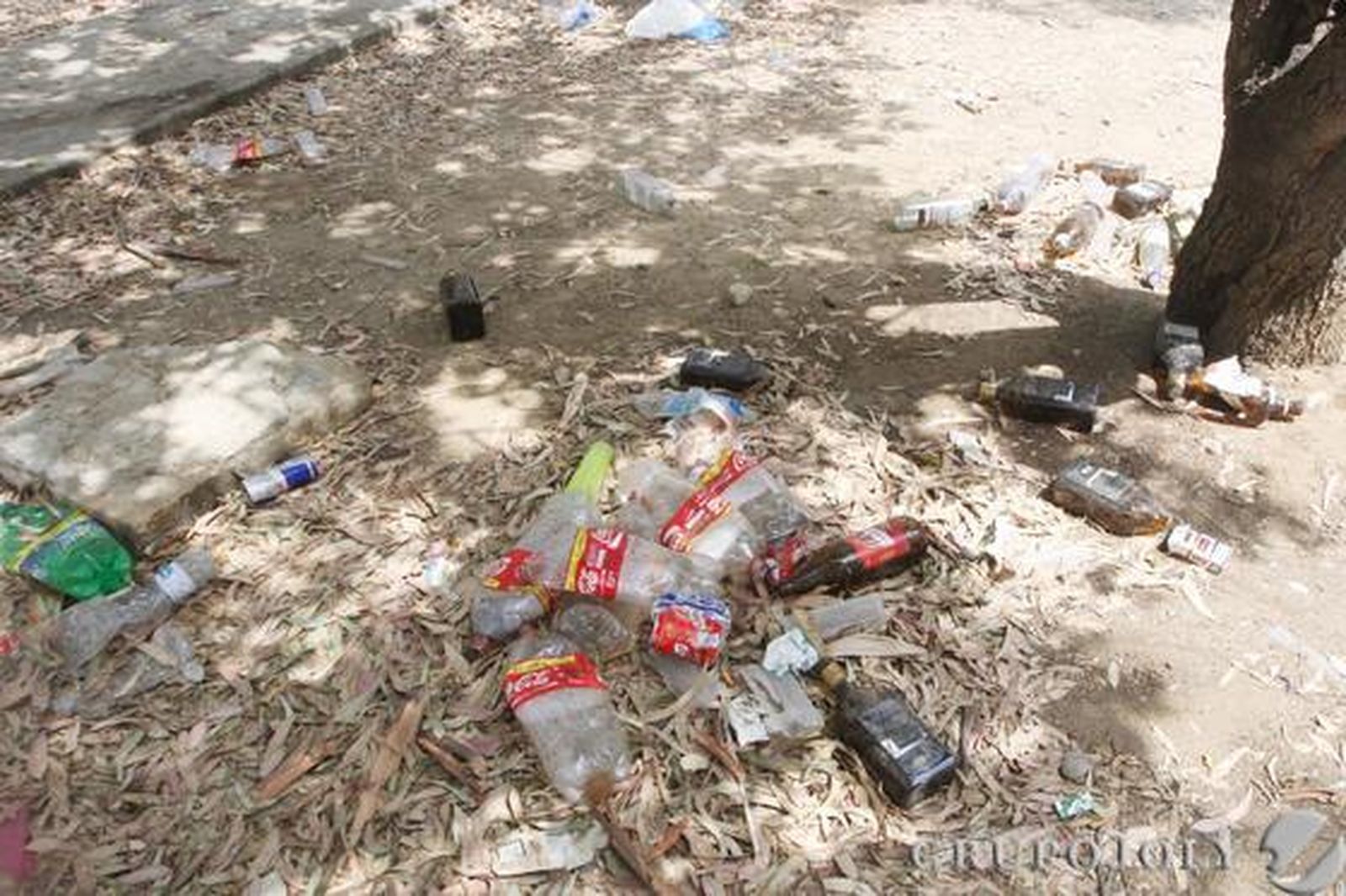 Plásticos acumulados en el suelo del parque.

Foto: Paco Guerrero
