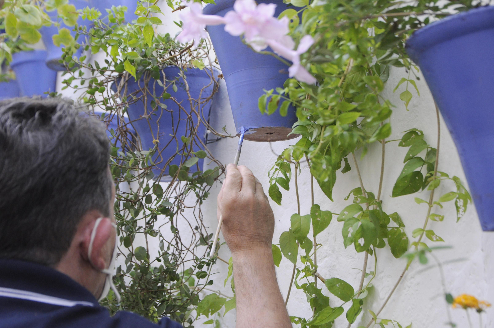 Los Patios de Córdoba se acicalan para su apertura en otoño, en fotografías