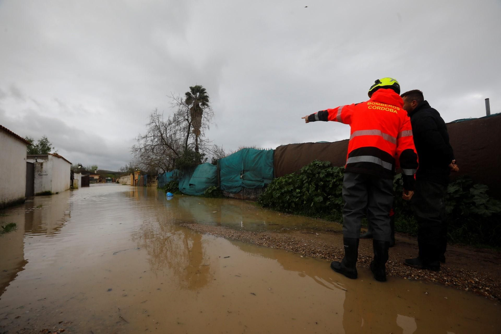 Las imágenes de las parcelaciones inundadas por la crecida del río Guadalquivir