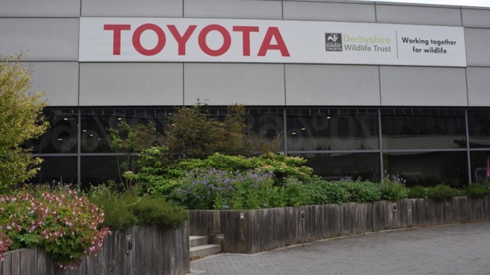 Promover la biodiversidad está también entre los retos de Toyota a través de varias actuaciones, sobre todo, vinculadas con la conservación y divulgación.