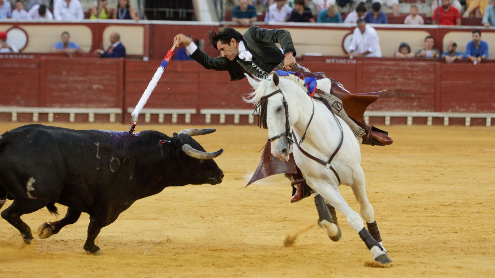 Diego Ventura en la Plaza Real de El Puerto de Santa María