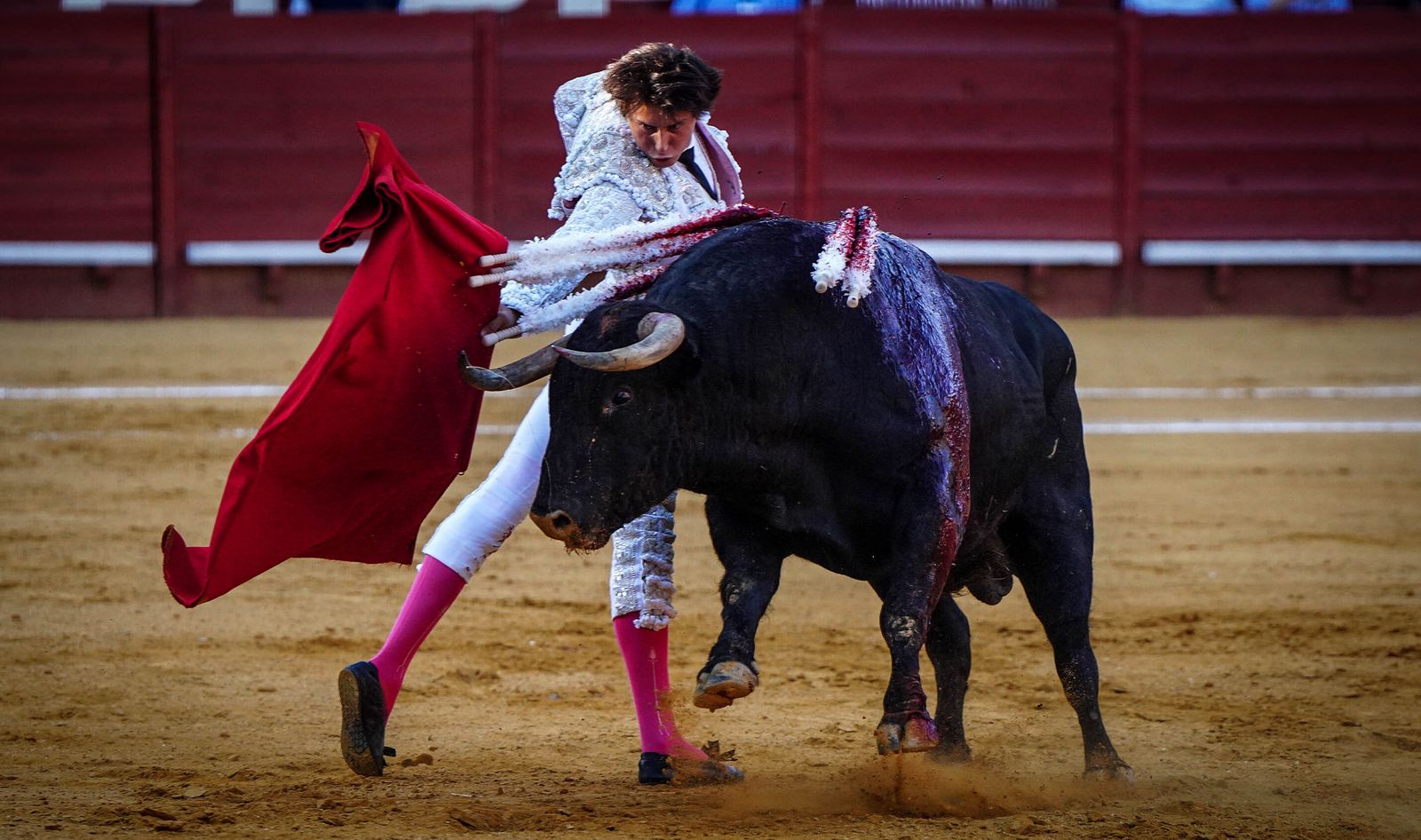 Puerta grande para Roca Rey y El Juli en la plaza de toros de Jerez