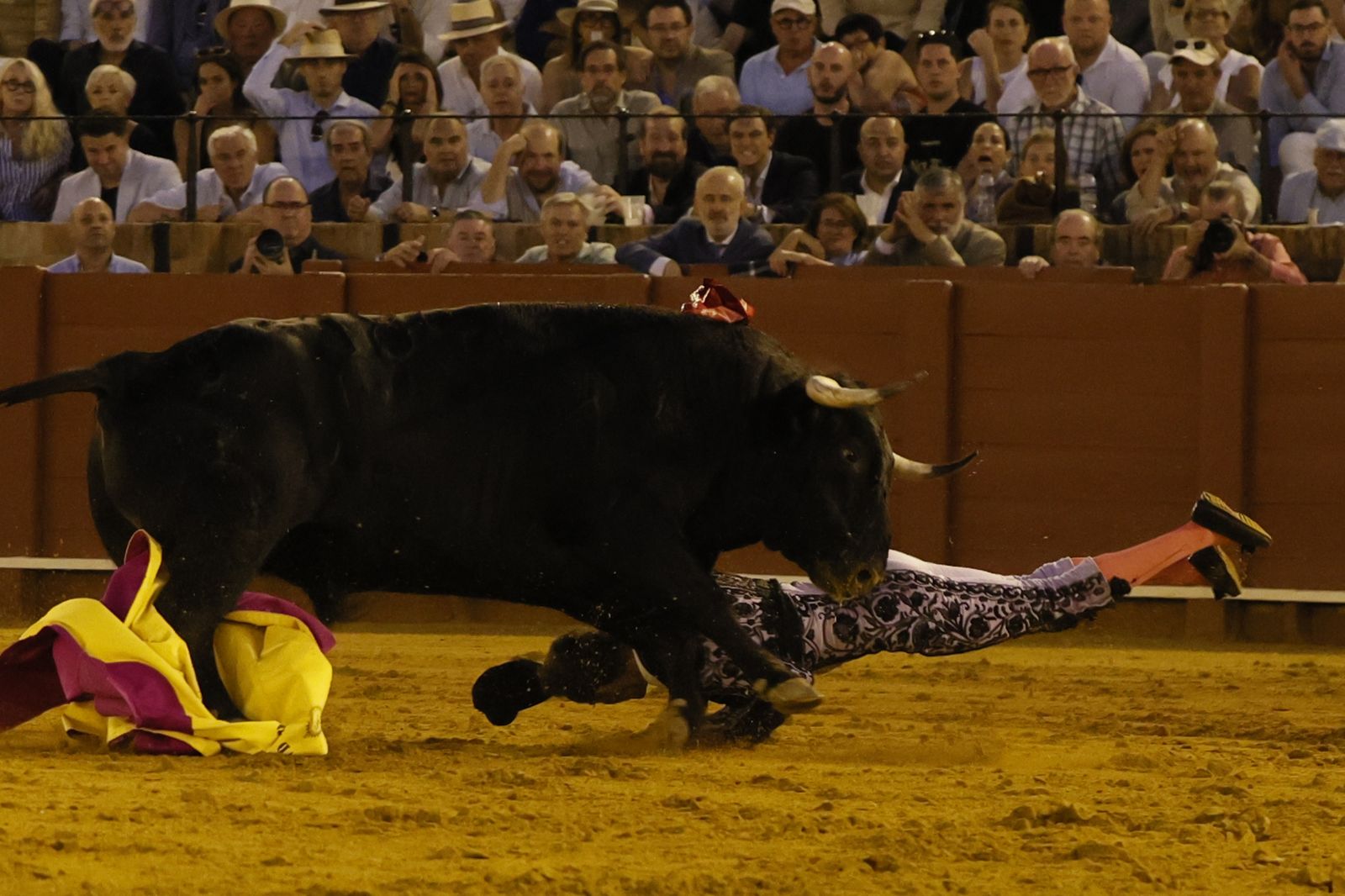 Las imágenes del primer festejo de San Miguel