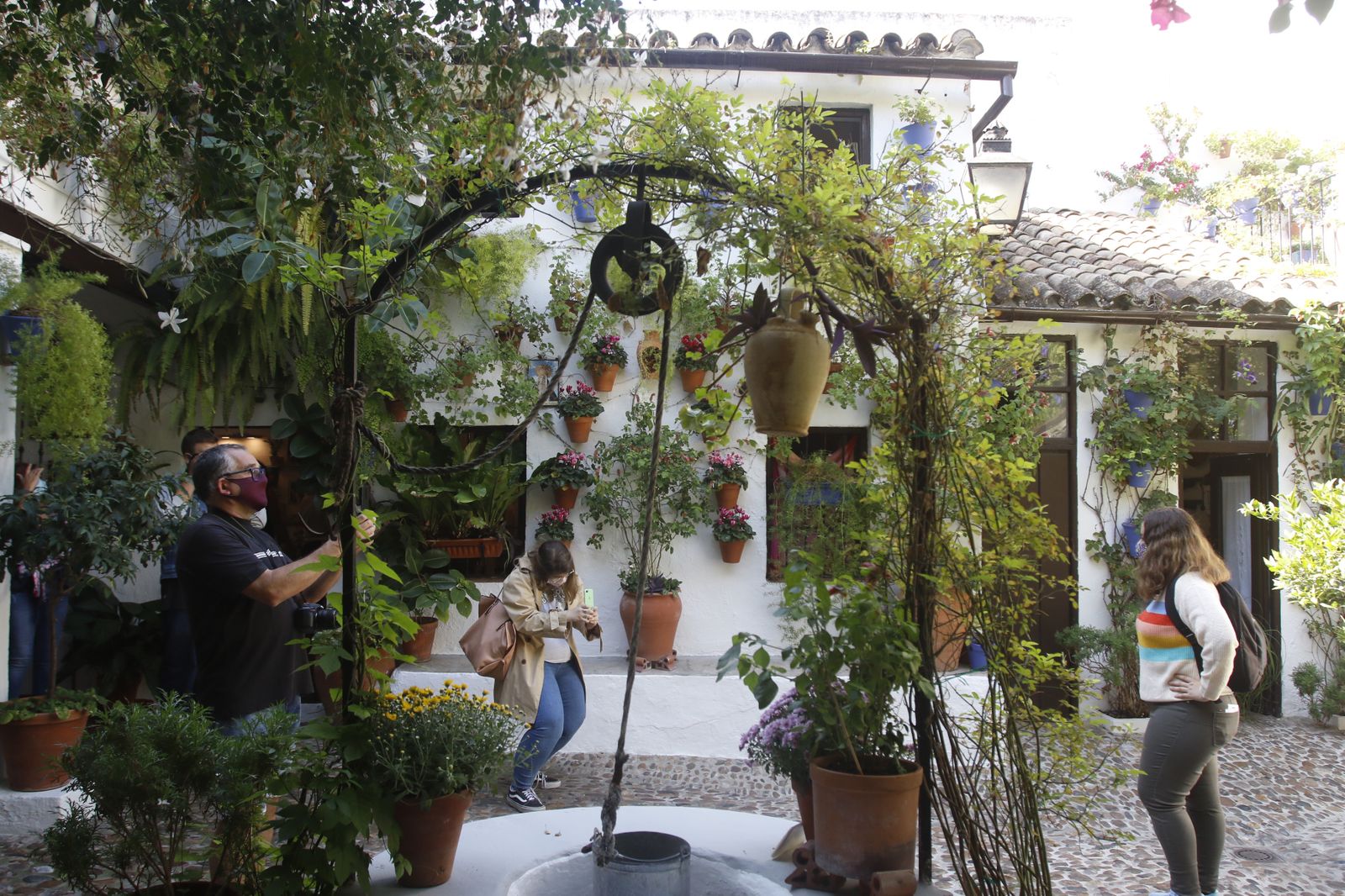 Las fotografías de los Patios de Córdoba en otoño