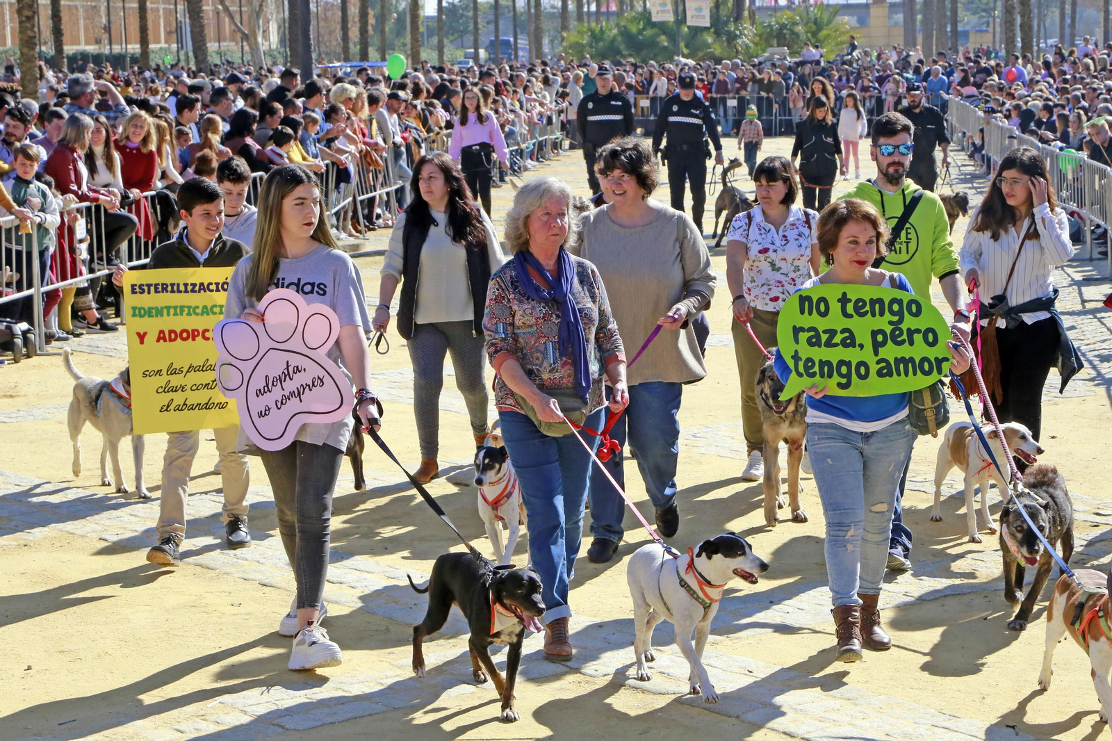 Imágenes de San Antón 2020 en Jerez